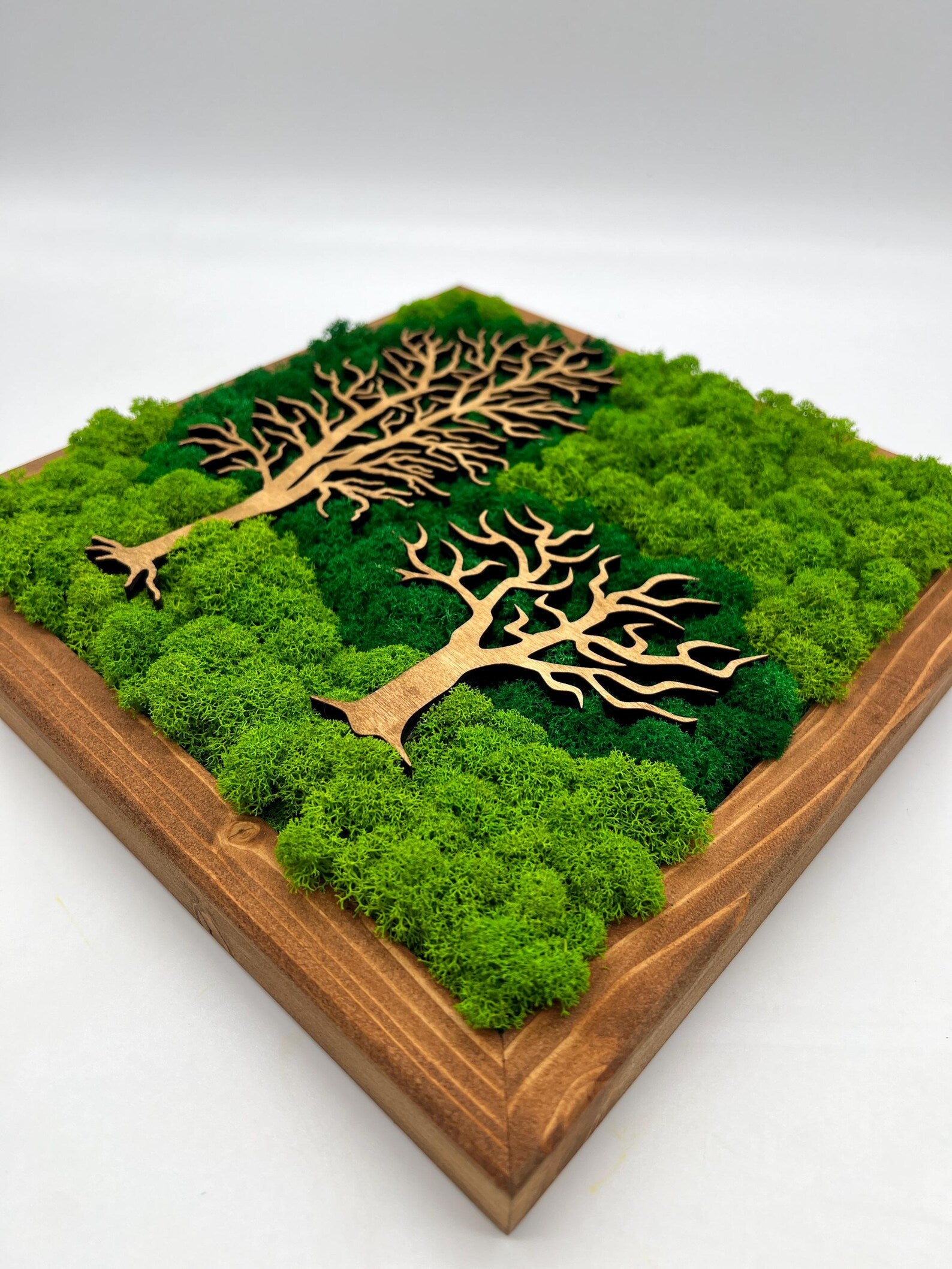 Double Tree Moss Wall Art – Two-Tone Green Decor 30x30 cm