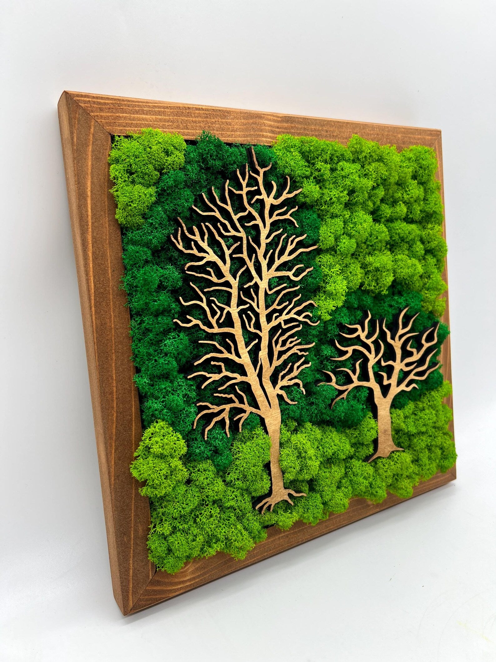 Double Tree Moss Wall Art – Two-Tone Green Decor 30x30 cm