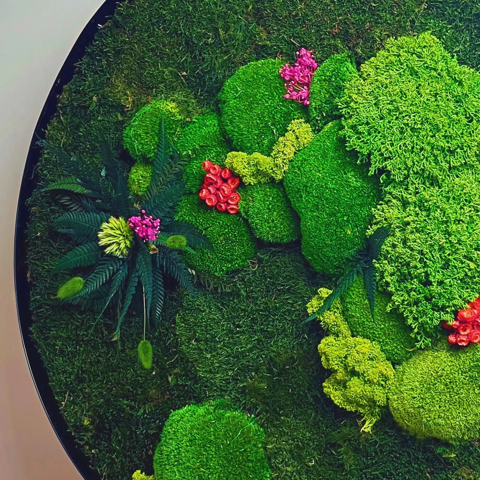 Round Preserved Moss Wall Art – Indoor Vertical Garden with Natural Cork Bark | Botanical Decor for Home & Office