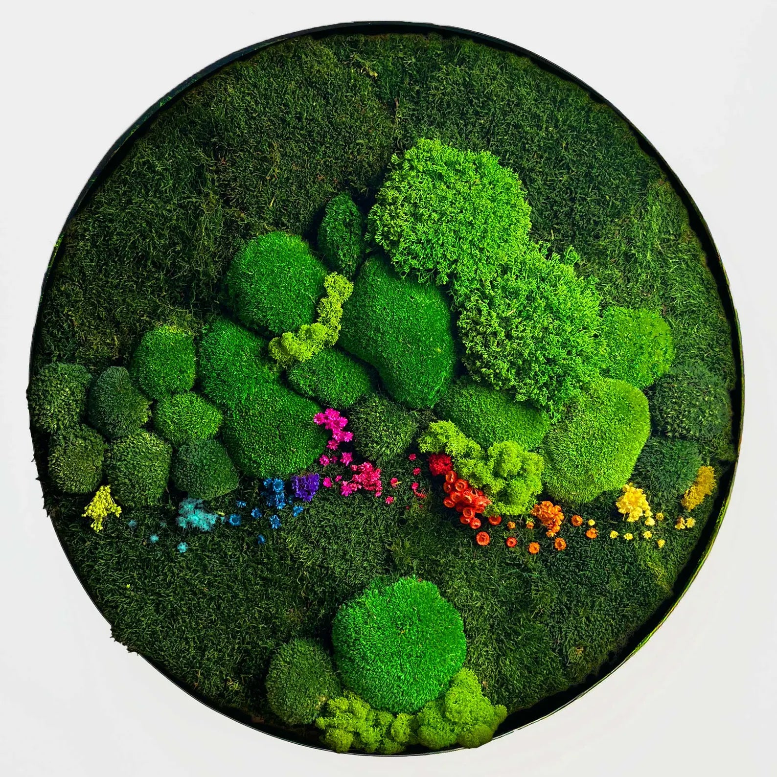 Round Preserved Moss Wall Art – Indoor Vertical Garden with Natural Cork Bark | Botanical Decor for Home & Office