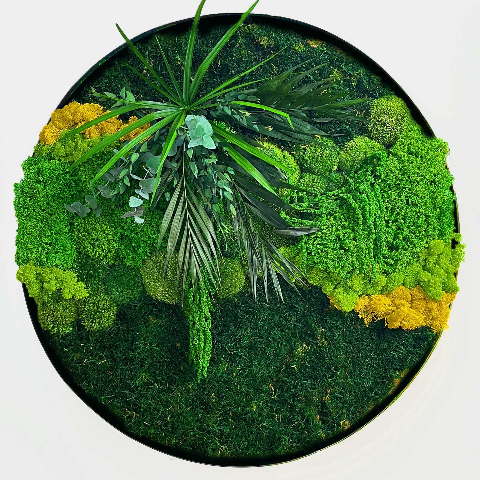 Round Preserved Moss Wall Art – Indoor Vertical Garden with Natural Cork Bark | Botanical Decor for Home & Office