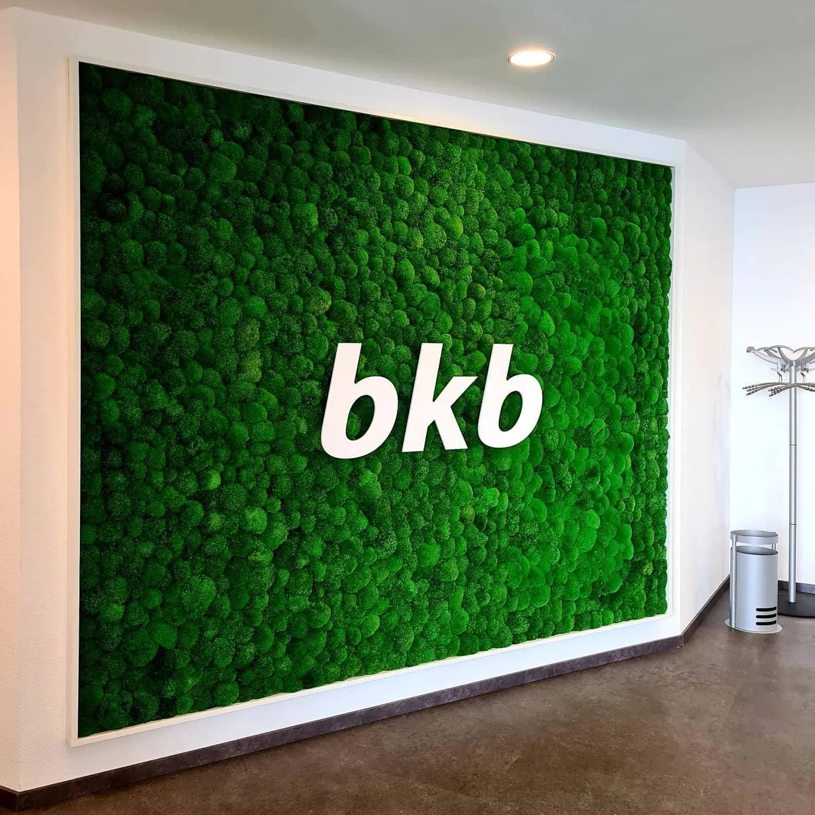 Bun Moss Wall Art – Premium Moss Picture with Logo for Living Room, Office & Large Spaces