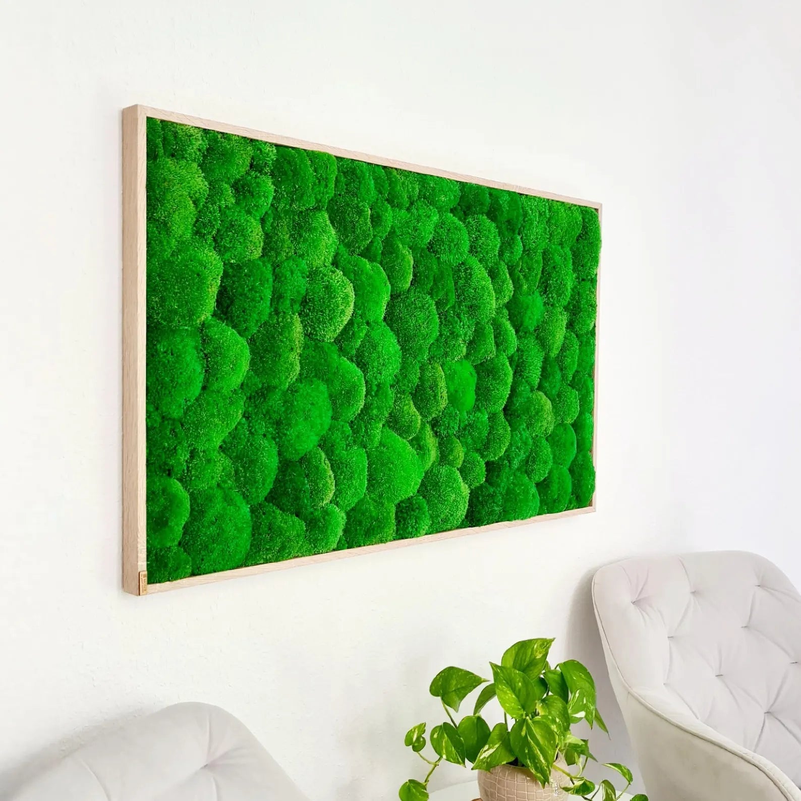 Bun Moss Wall Art – Premium Moss Picture with Logo for Living Room, Office & Large Spaces