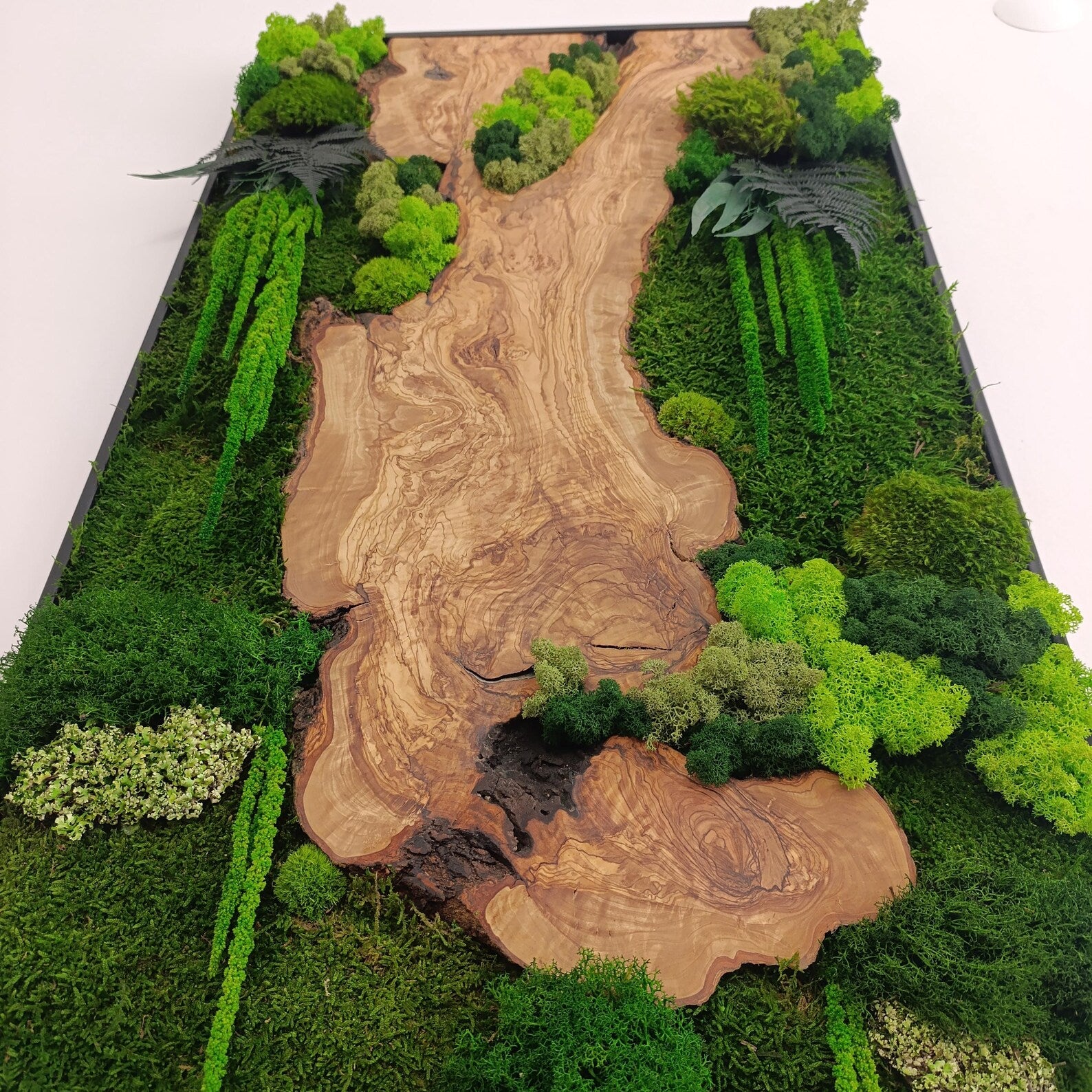 Moss and Wood Wall Art – Rustic Greenery Decor for Home & Office, Custom Olive Wood Moss Art