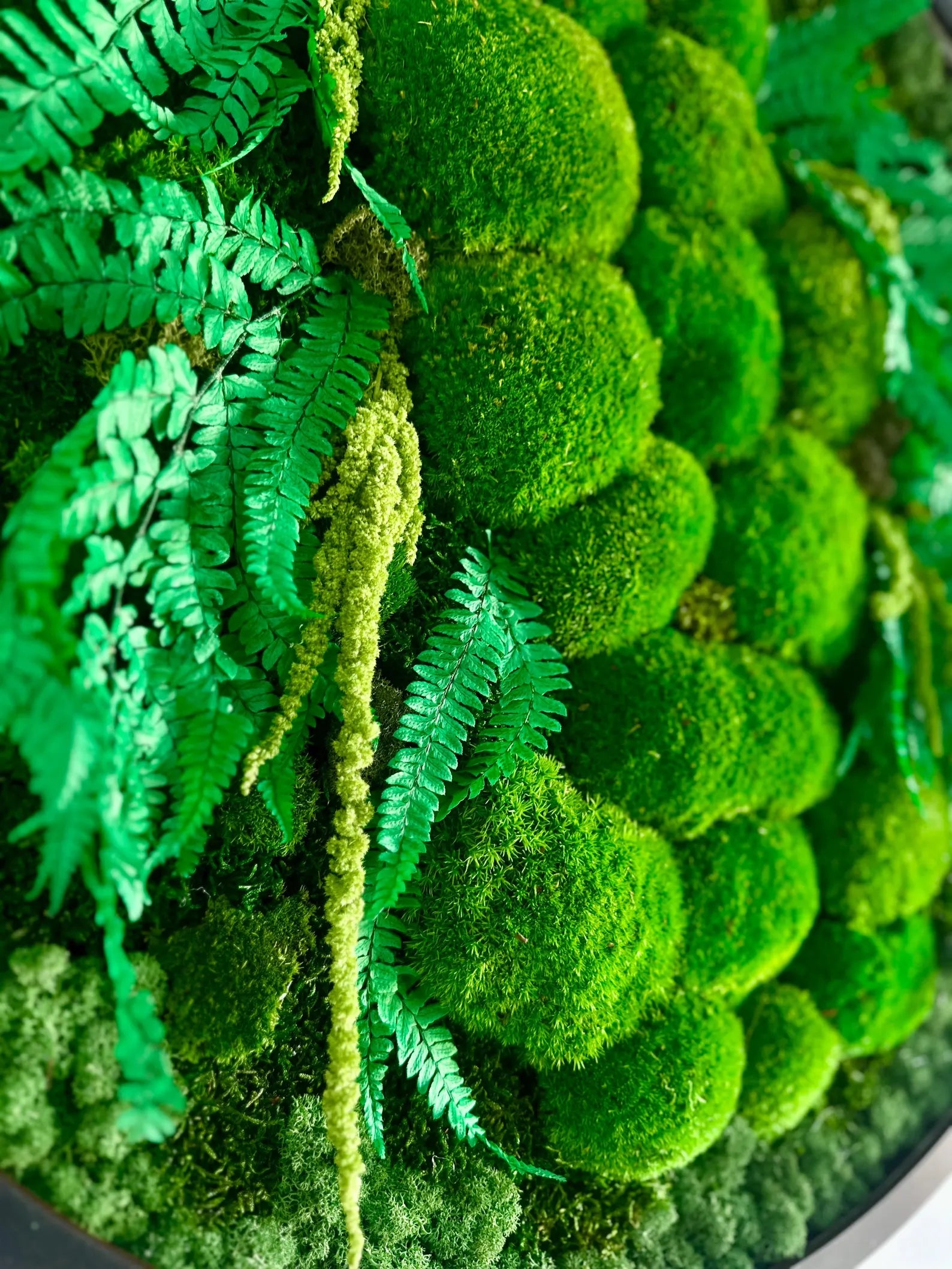 Extra Large Preserved Moss Wall Art with LED – Natural Green Wall Decor