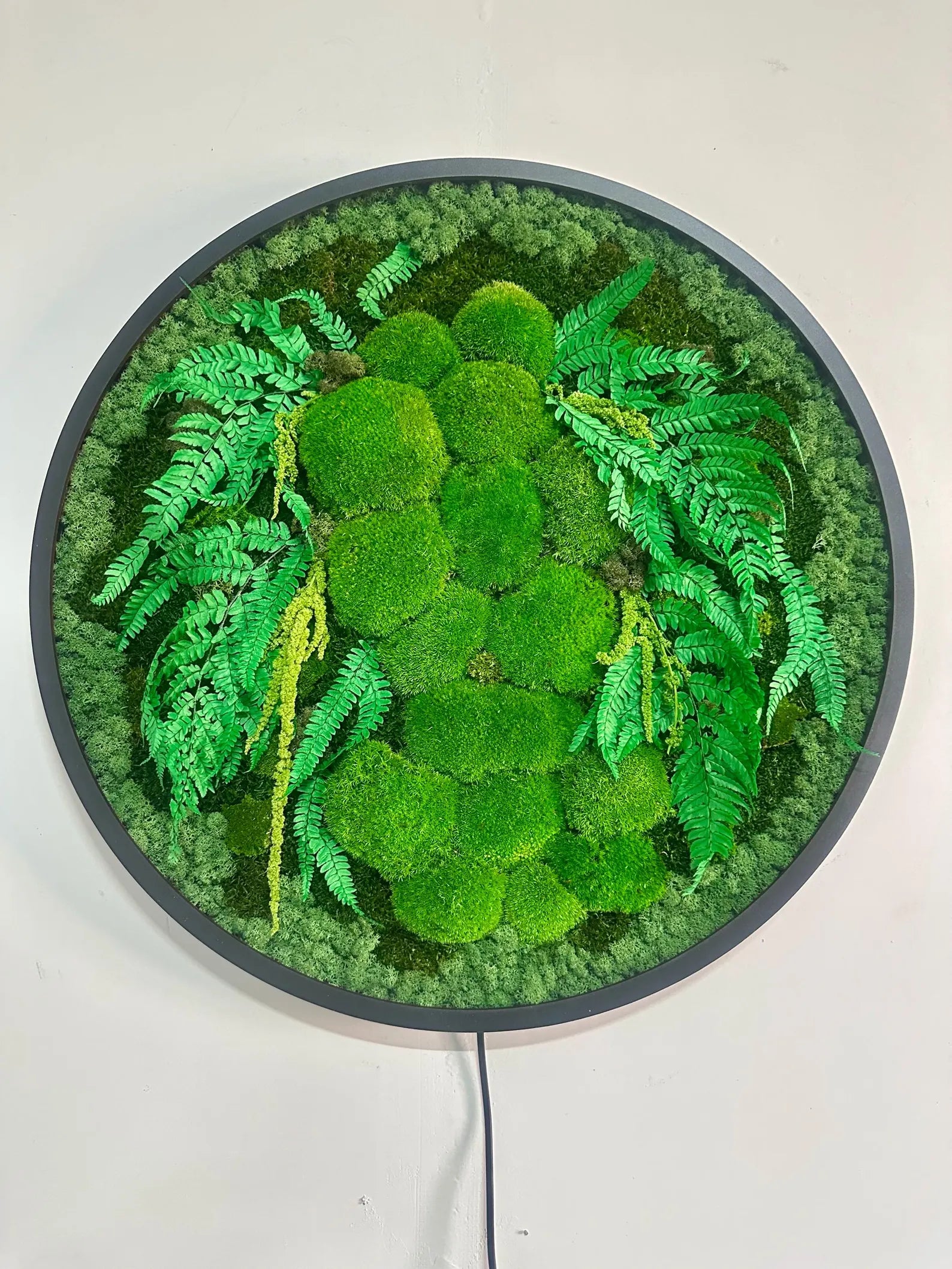 Extra Large Preserved Moss Wall Art with LED – Natural Green Wall Decor