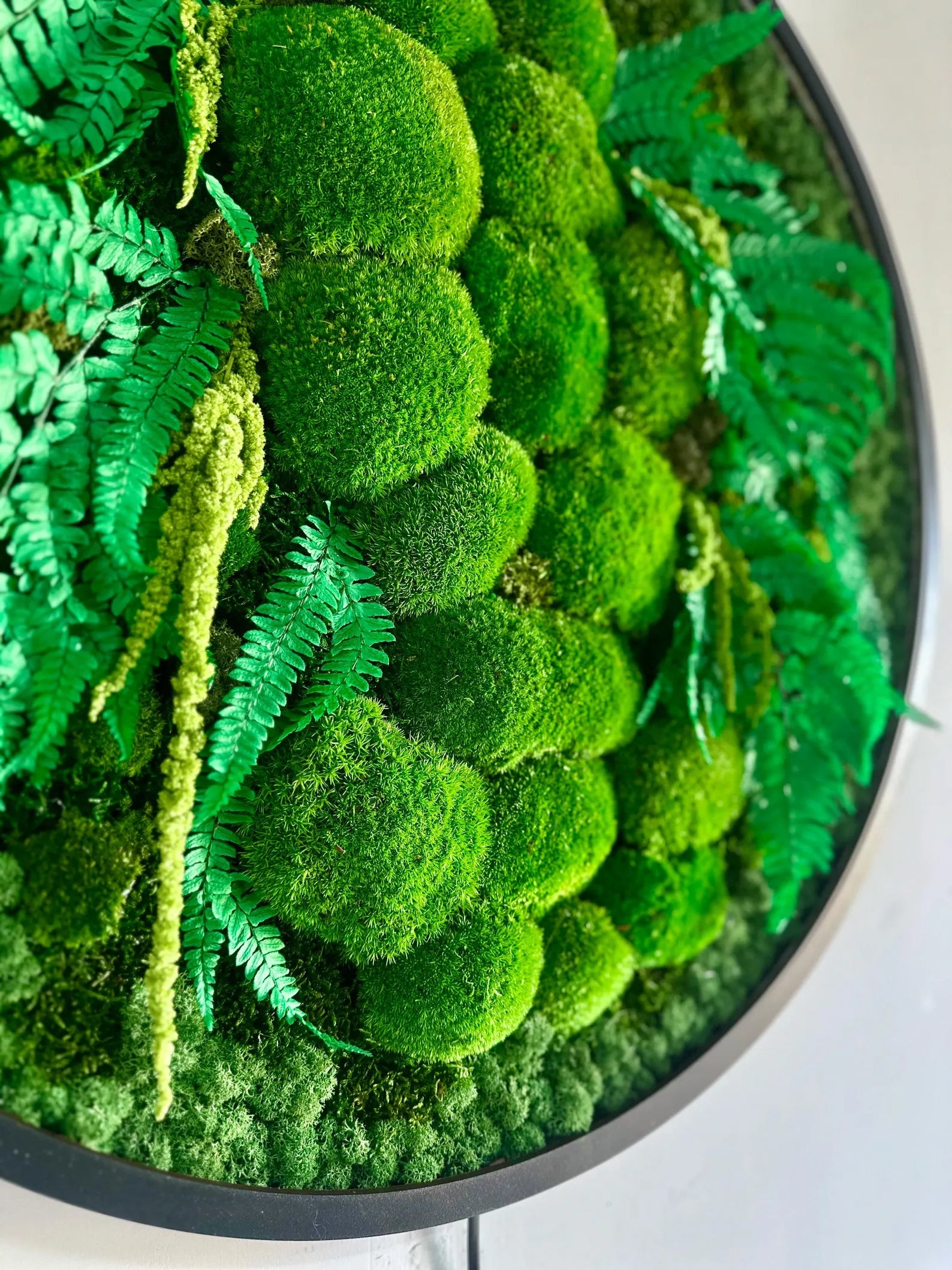 Extra Large Preserved Moss Wall Art with LED – Natural Green Wall Decor