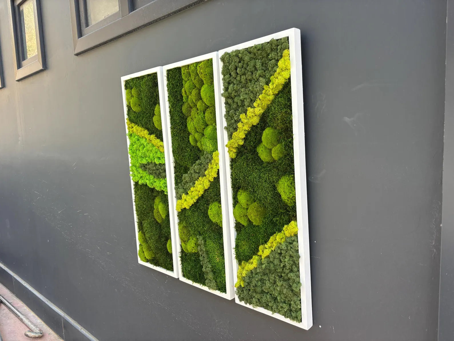 Natural Preserved Moss Wall Art – Green Office & Workplace Decor