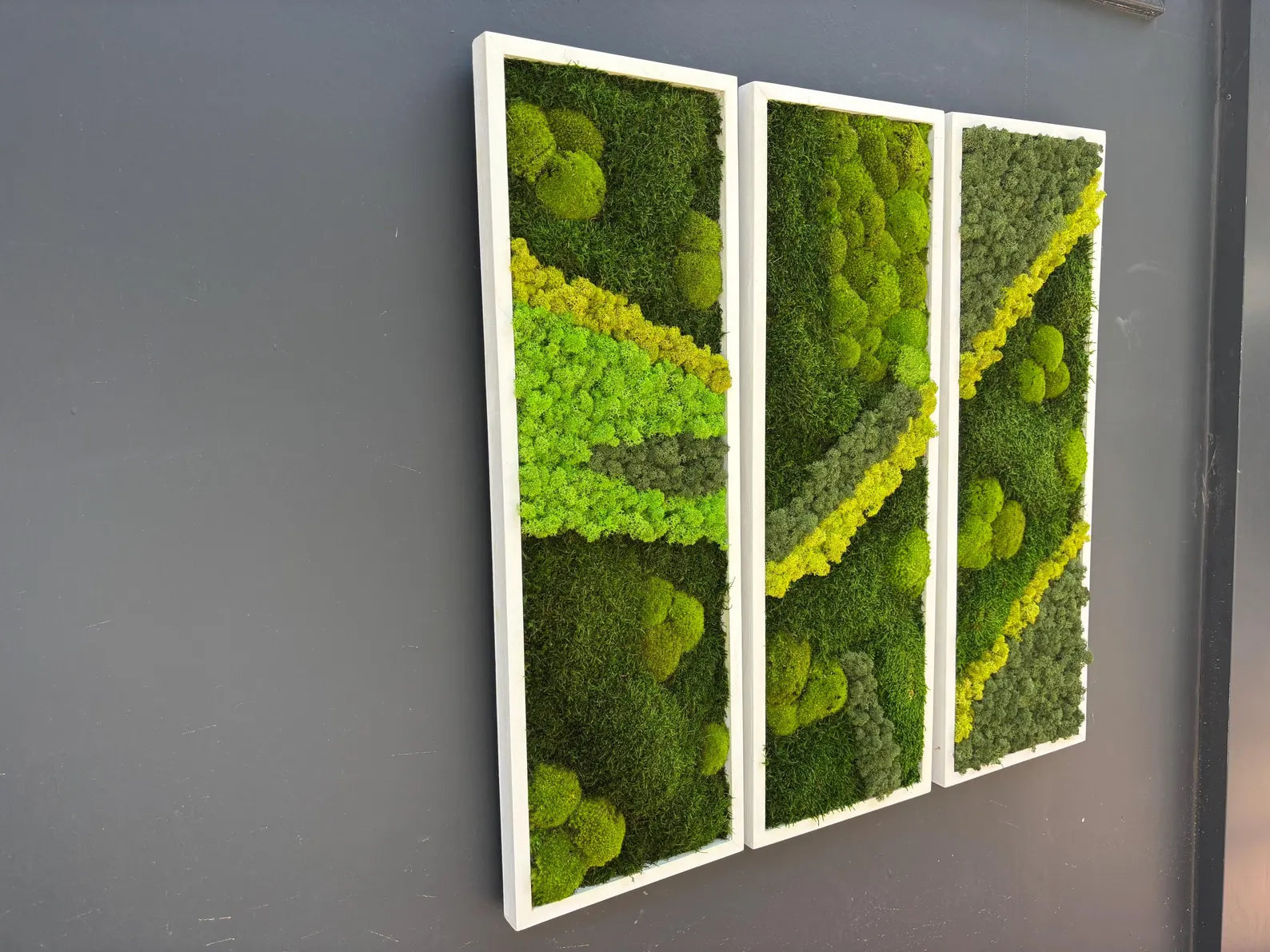 Natural Preserved Moss Wall Art – Green Office & Workplace Decor