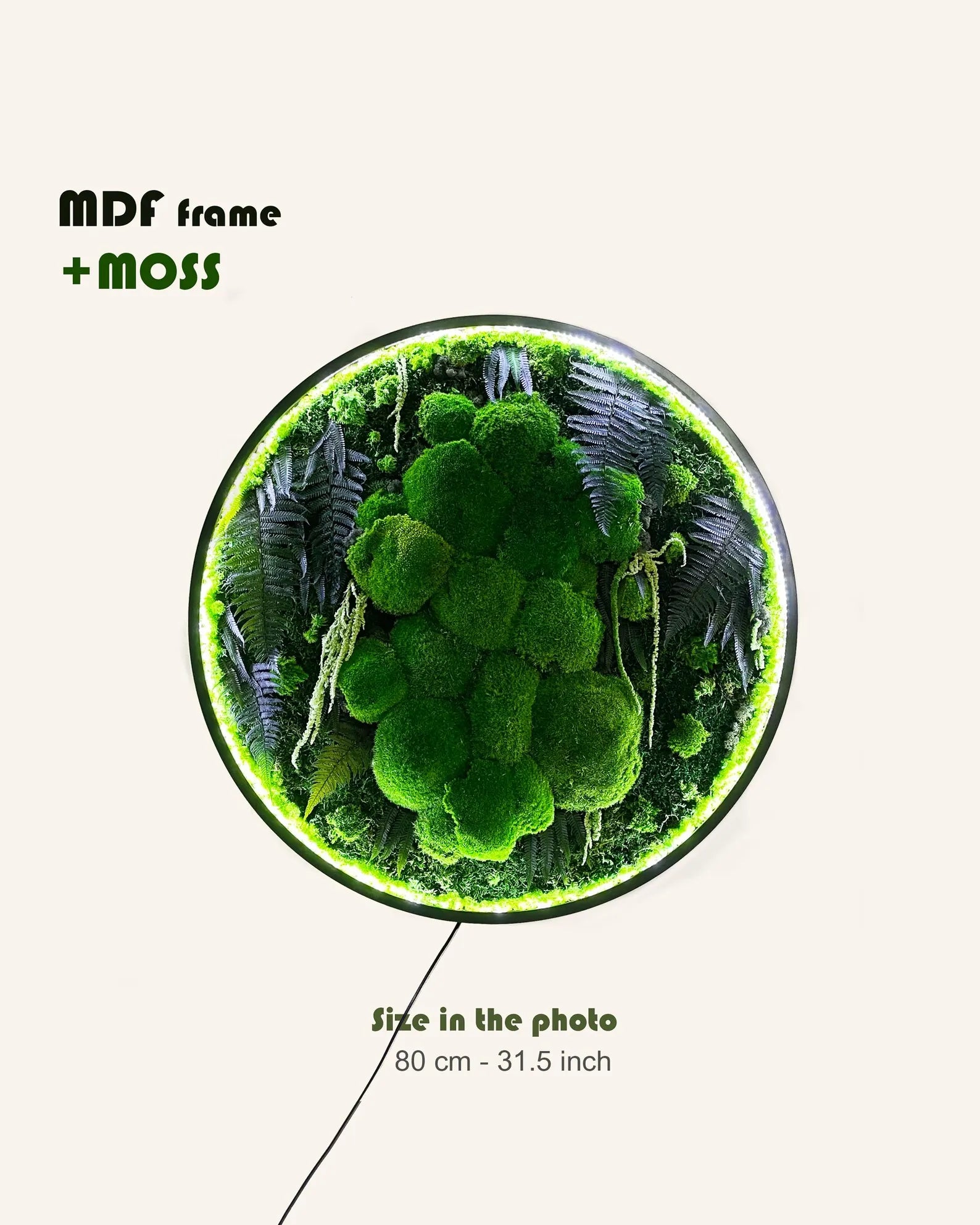 Extra Large Preserved Moss Wall Art – Natural Dried Moss with LED for Aesthetic Room & Wall Décor