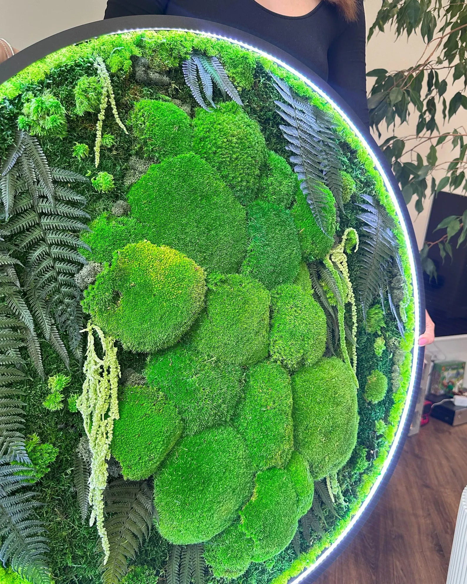 Extra Large Preserved Moss Wall Art – Natural Dried Moss with LED for Aesthetic Room & Wall Décor
