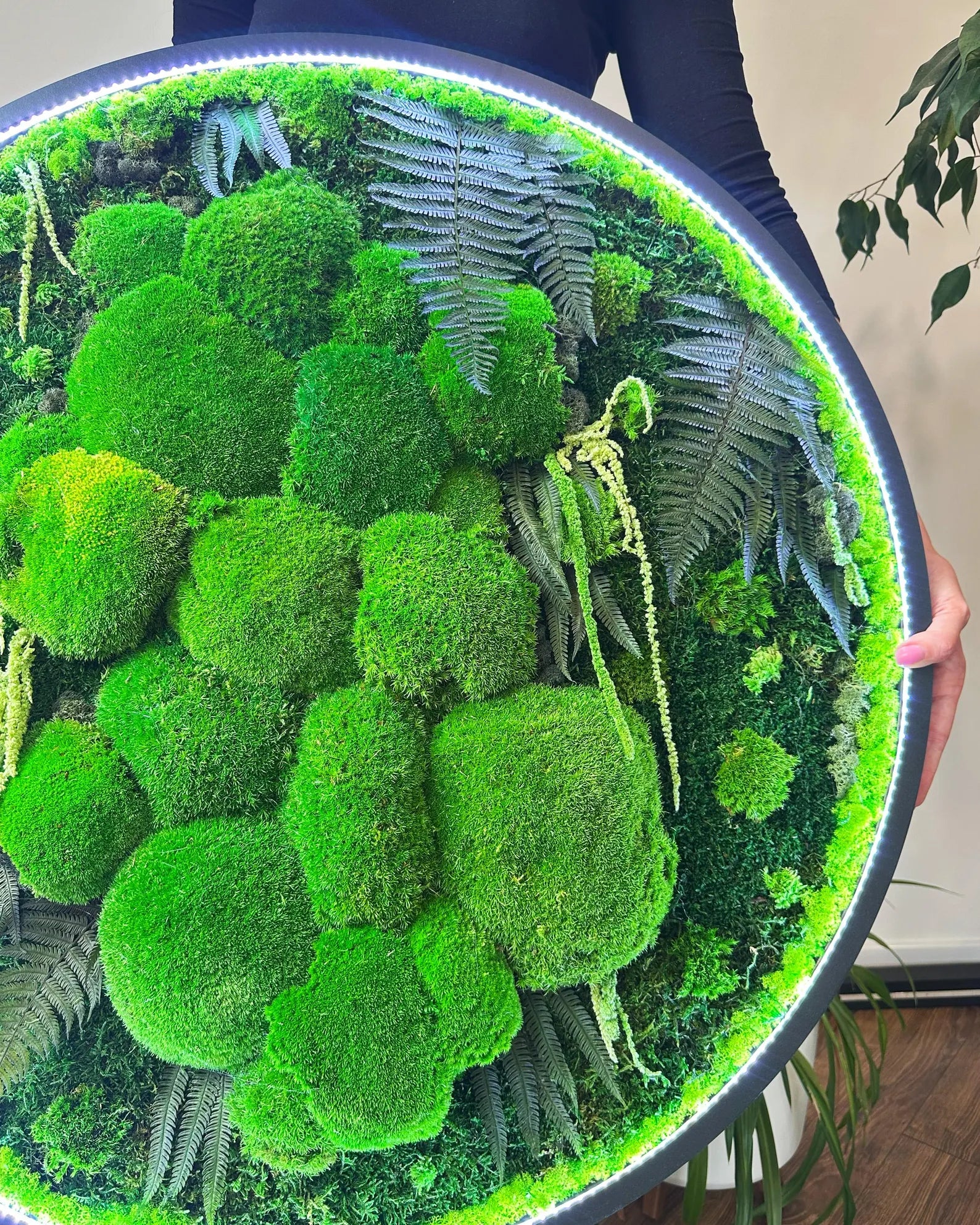Extra Large Preserved Moss Wall Art – Natural Dried Moss with LED for Aesthetic Room & Wall Décor