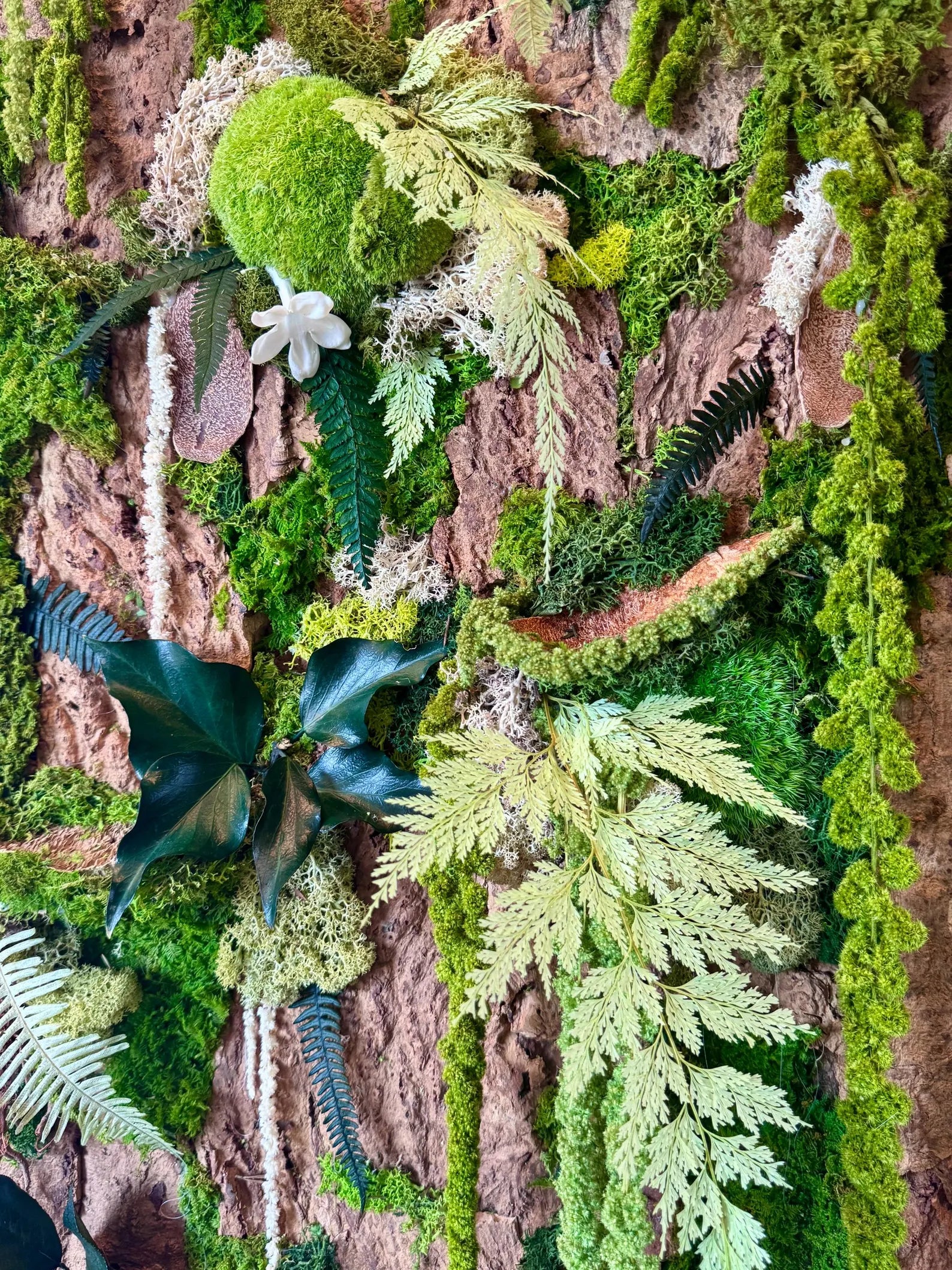 Handmade Stabilized Plant Frame on Cork Bark – Unique Rainforest Wall Art