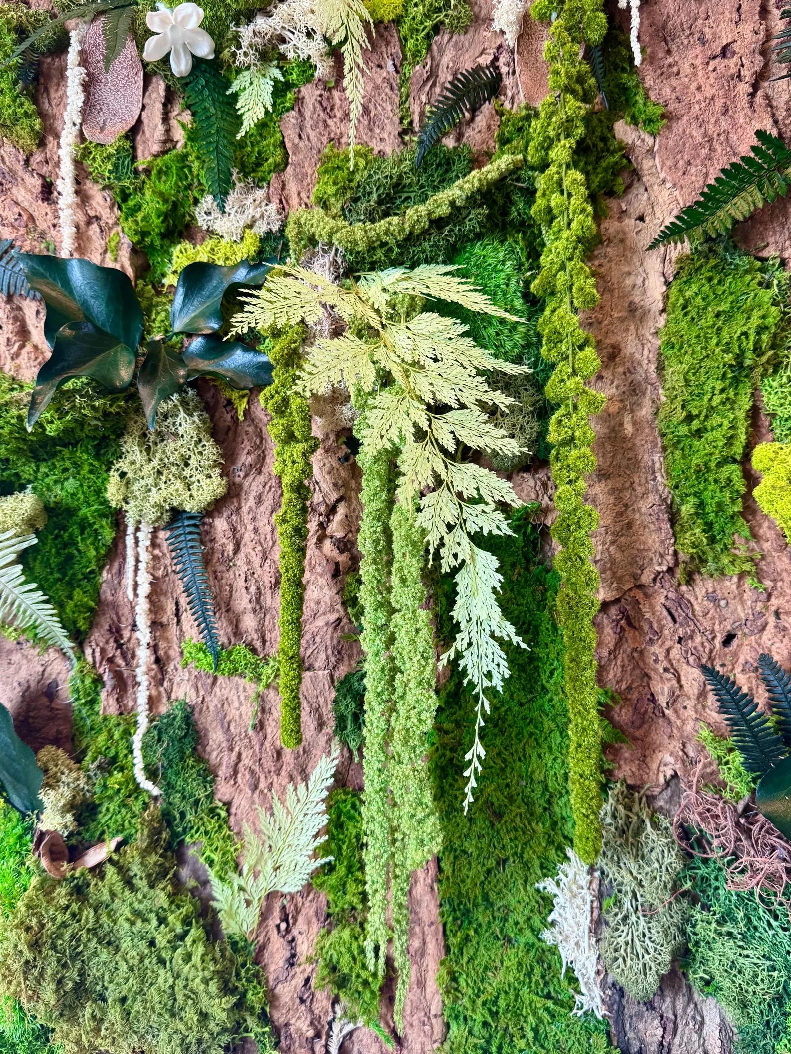 Handmade Stabilized Plant Frame on Cork Bark – Unique Rainforest Wall Art
