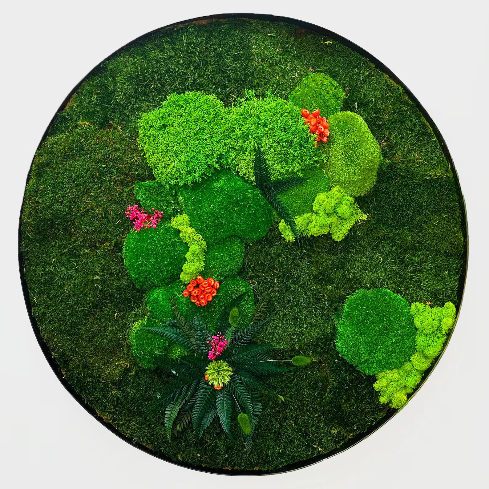 Round Preserved Moss Wall Art – Indoor Vertical Garden with Natural Cork Bark | Botanical Decor for Home & Office