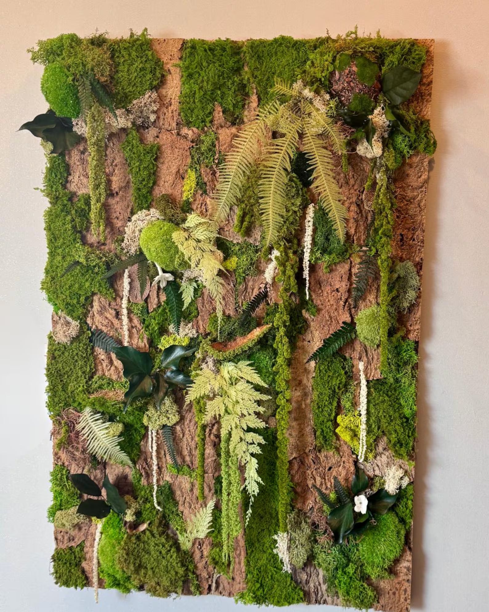 Handmade Stabilized Plant Frame on Cork Bark – Unique Rainforest Wall Art