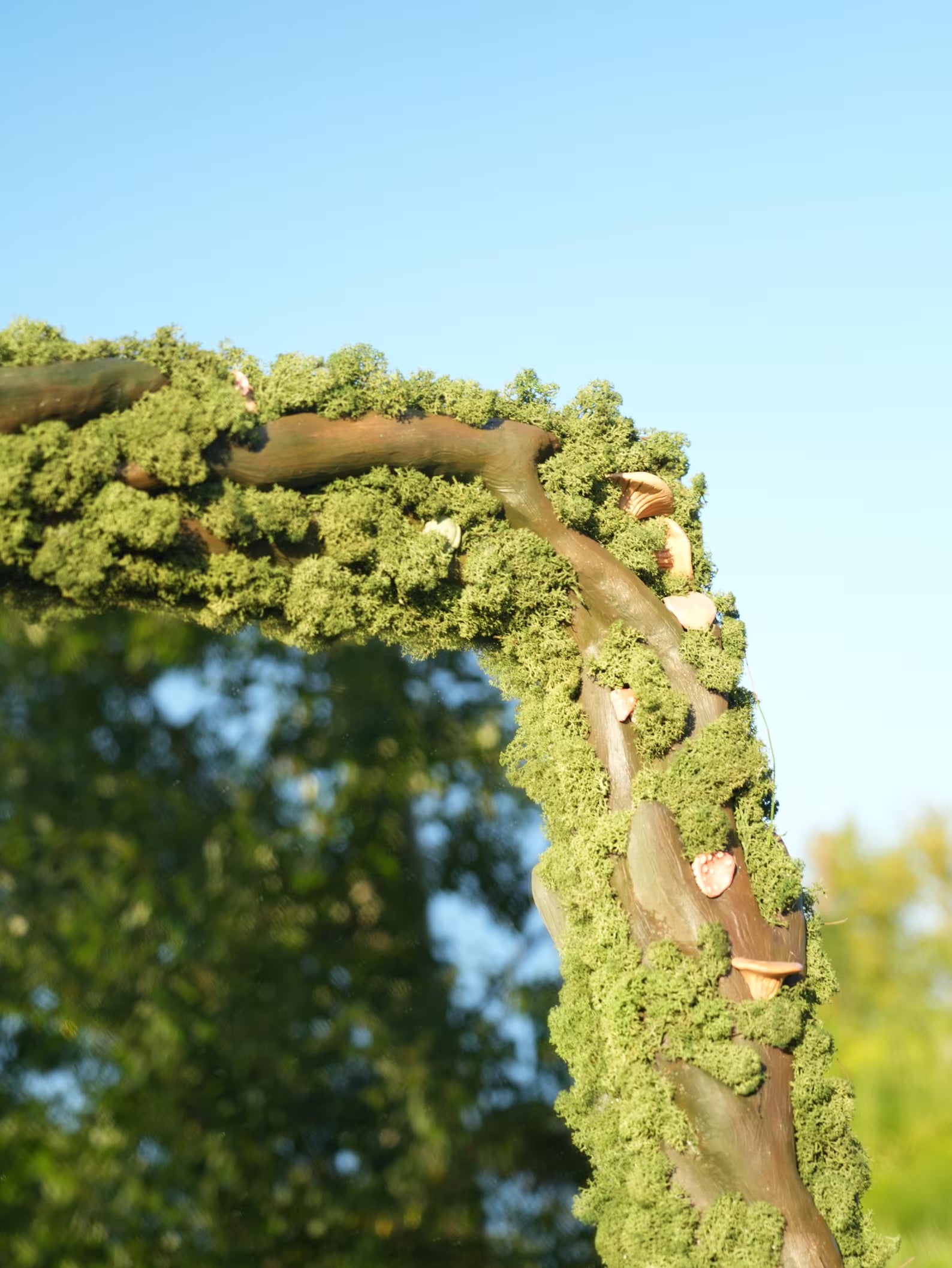 Moss Wall Mirror – Forest Decor with Ceramic Mushrooms – Nature-Inspired Wall Art