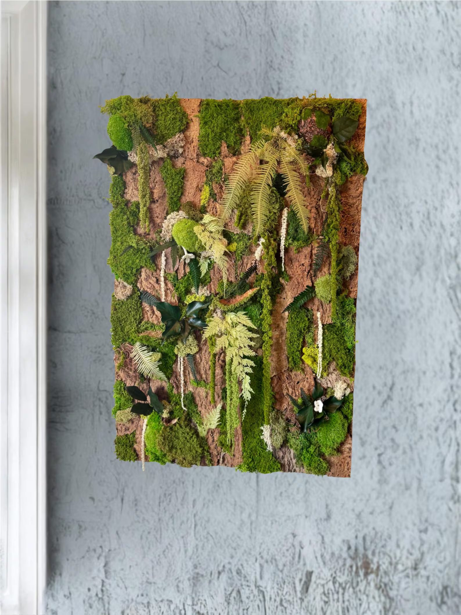 Handmade Stabilized Plant Frame on Cork Bark – Unique Rainforest Wall Art