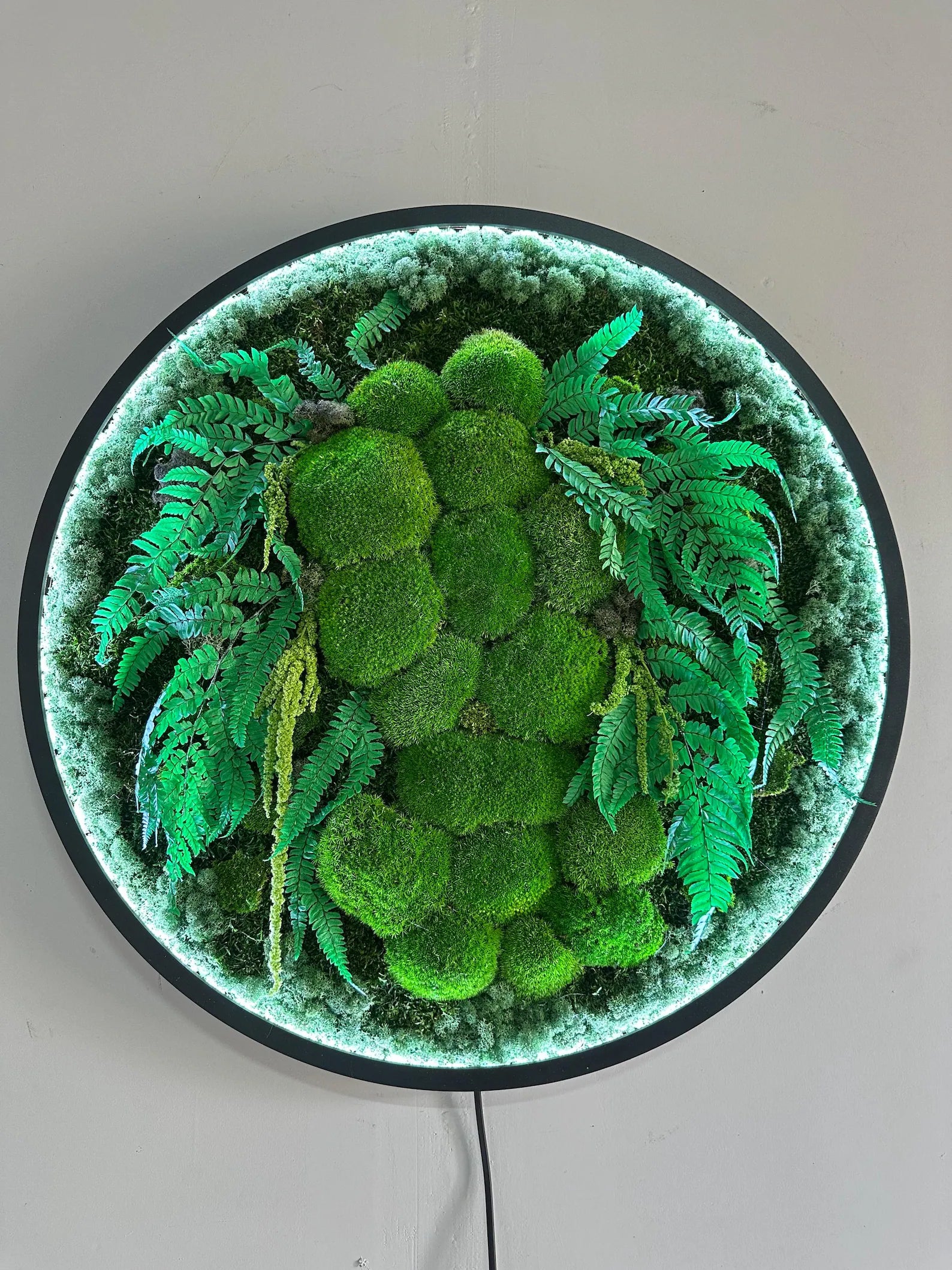 Extra Large Preserved Moss Wall Art with LED – Natural Green Wall Decor