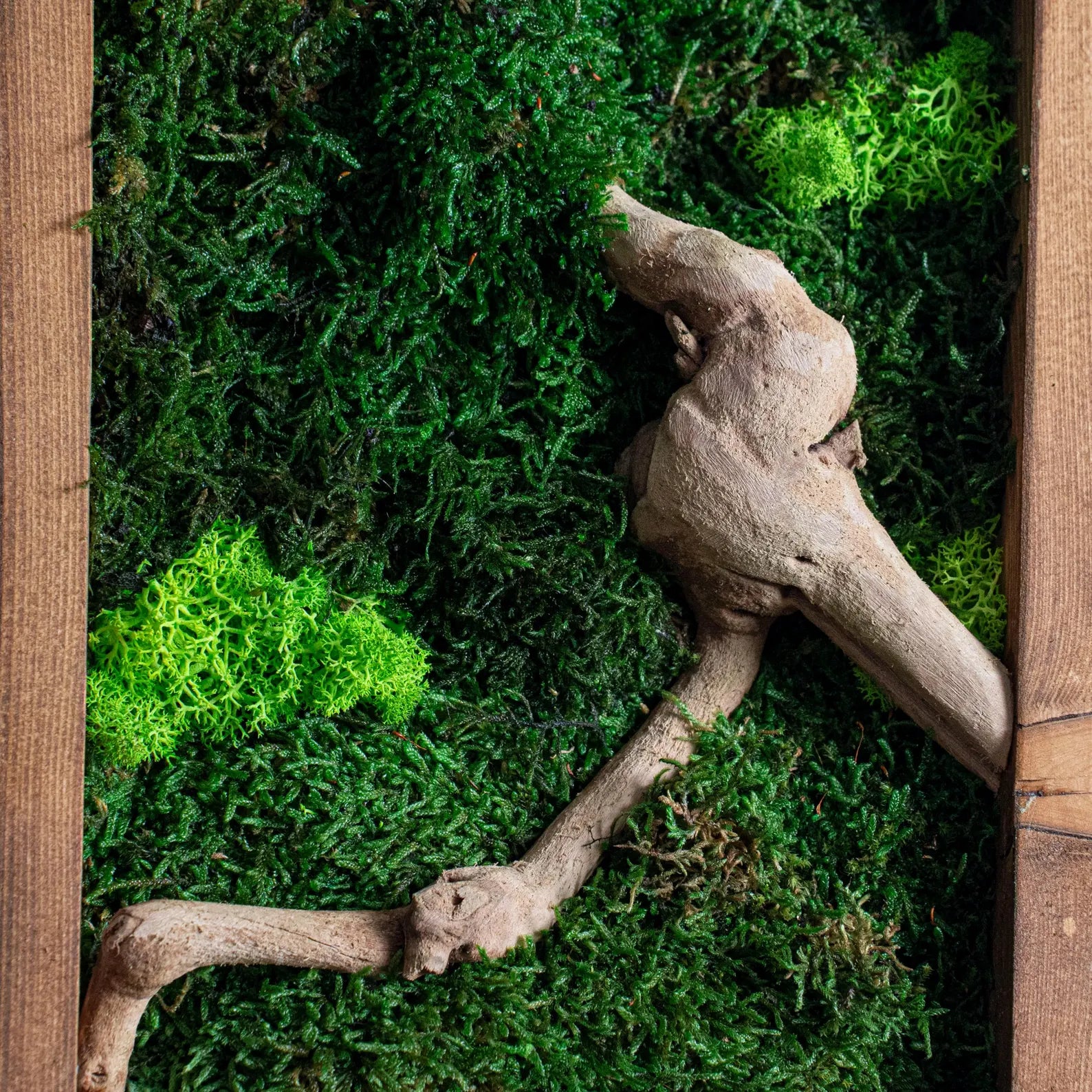 Rustic Moss and Bonsai Wood Wall Art – Vertical Wooden Frame Decor for Modern Living Rooms