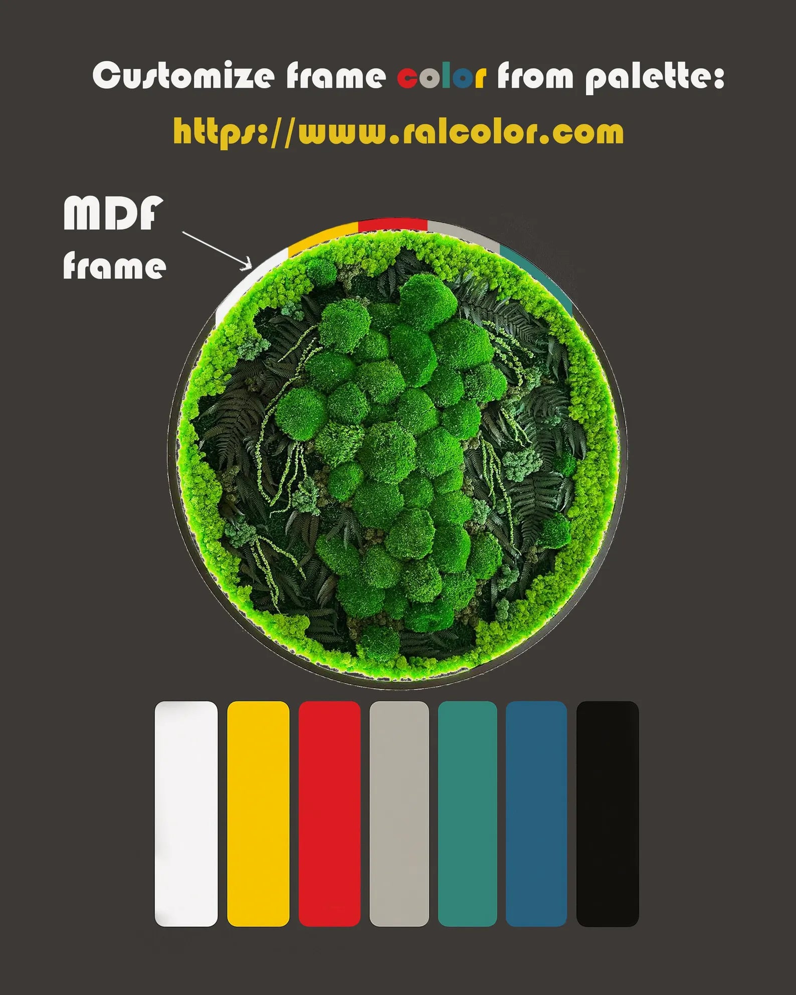 Extra Large Preserved Moss Wall Art with LED – Natural Green Wall Decor
