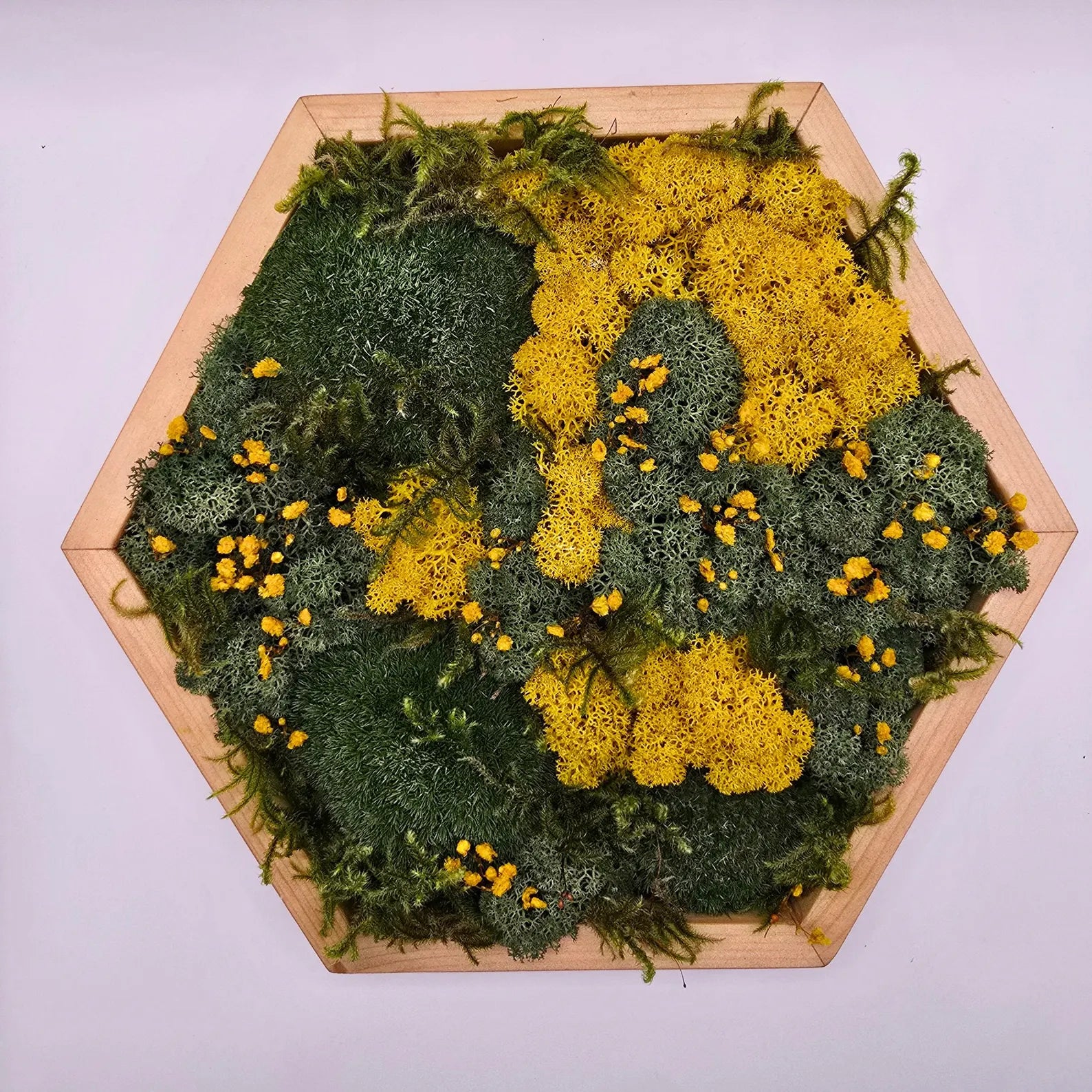 Wooden Hexagon Moss Wall Art with Dried Flowers – Preserved Botanical Geometric Wall Decor