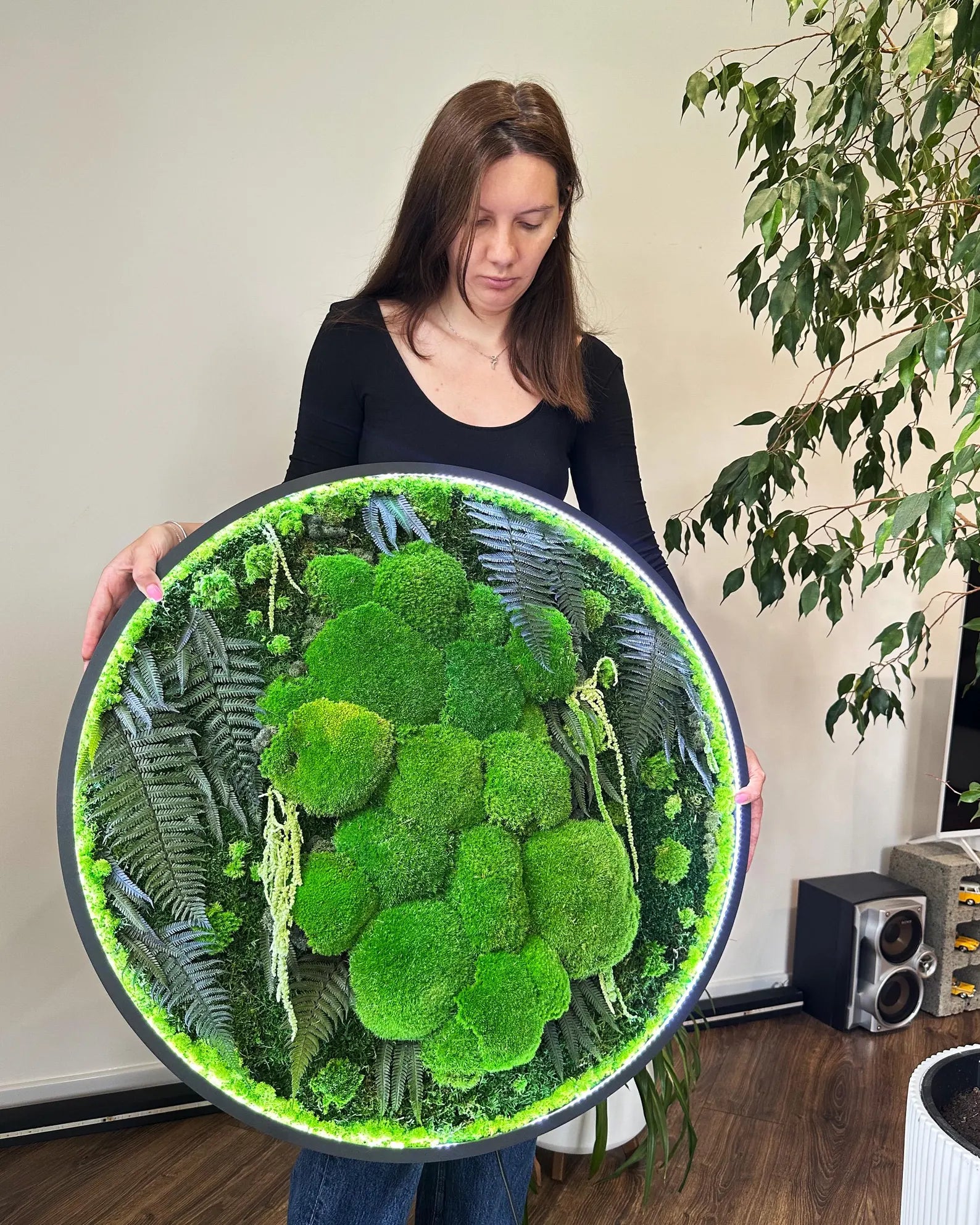 Extra Large Preserved Moss Wall Art – Natural Dried Moss with LED for Aesthetic Room & Wall Décor