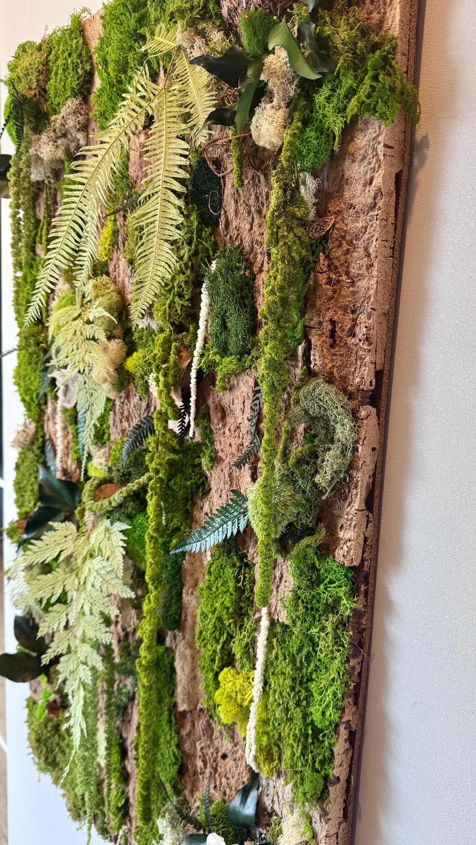 Handmade Stabilized Plant Frame on Cork Bark – Unique Rainforest Wall Art