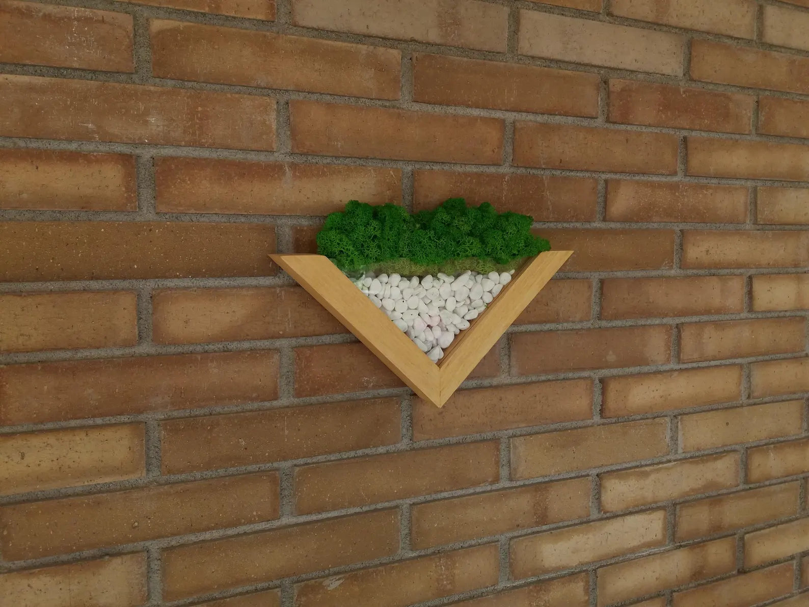 Moss Wall Planter – Green Wall Decor – Wood and Moss Indoor Wall Art