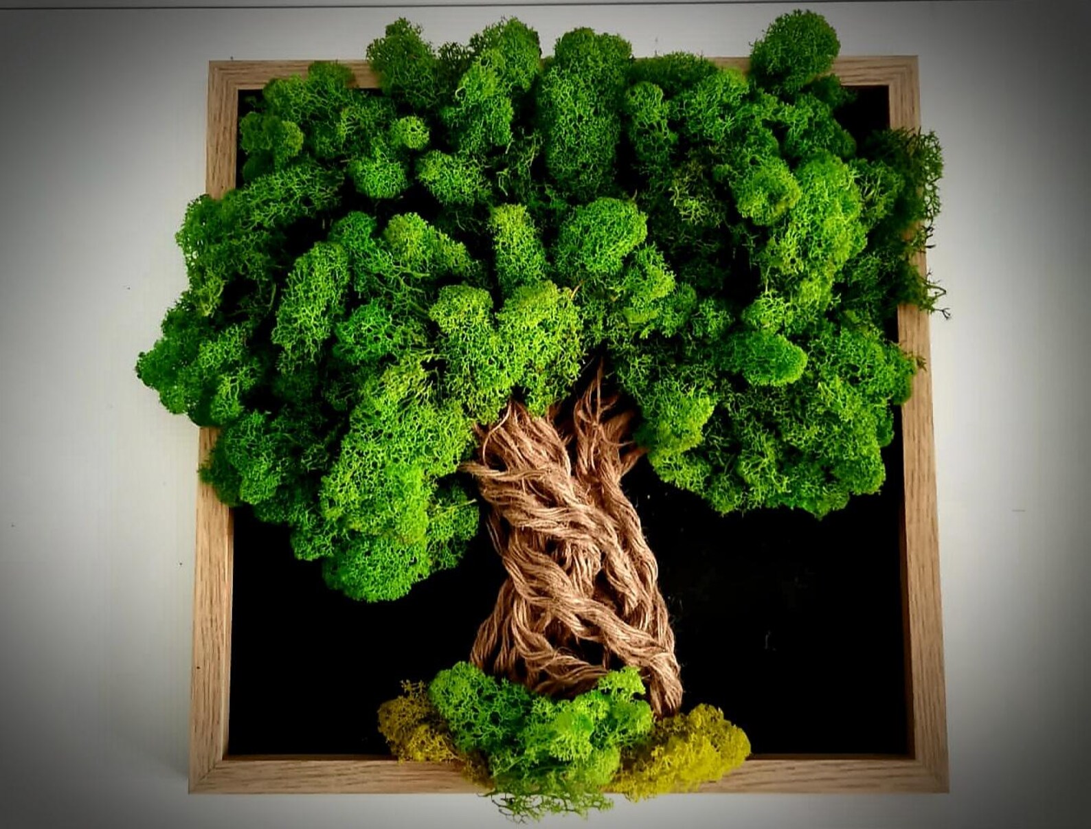 Moss Wall Art Tree – Reindeer Moss Tree of Life, Vertical Garden Wall Decor, Aesthetic Bedroom & Home Decoration, Unique Gift for Host