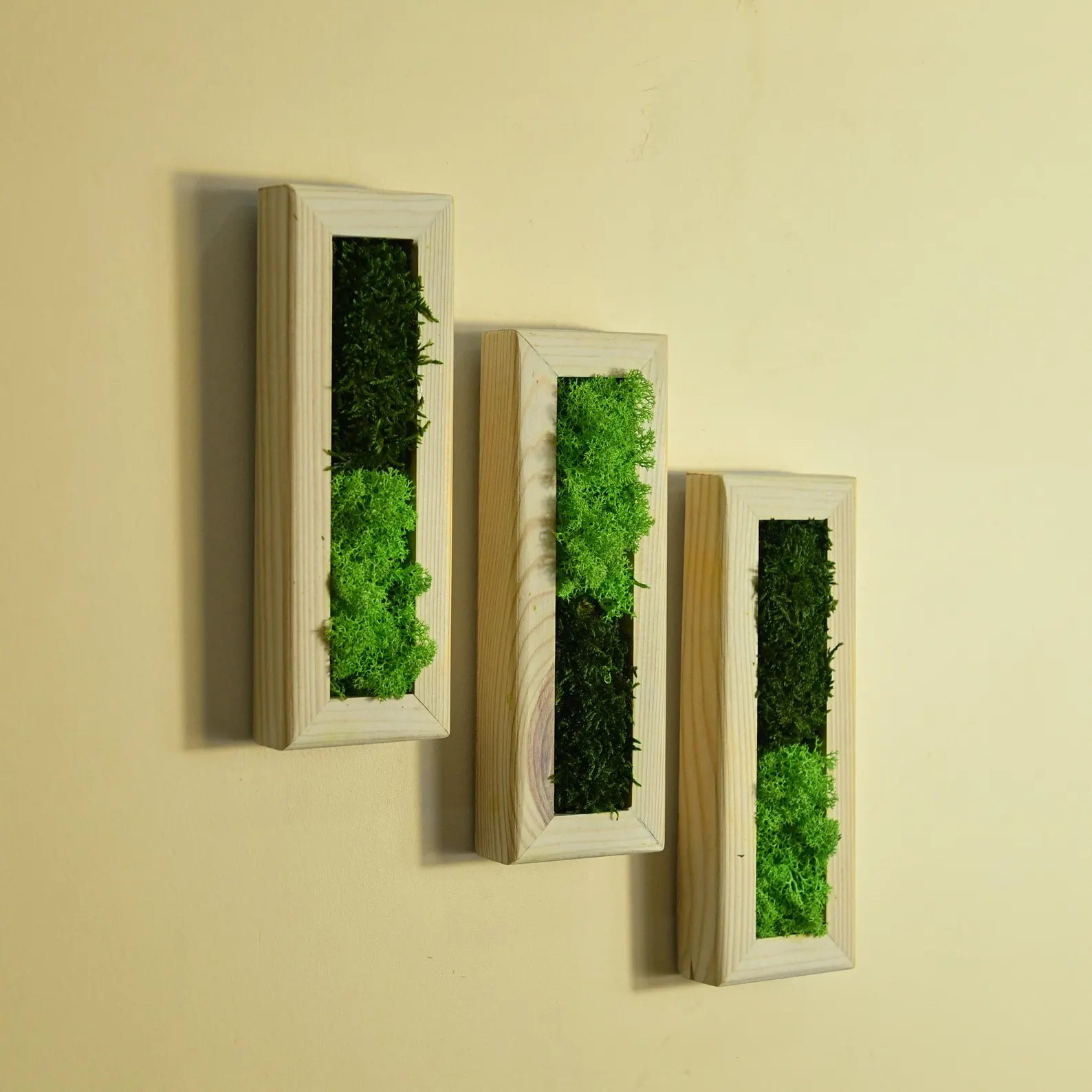 Set of 3 Vertical Moss Wall Art – Preserved Moss with Wood Frames, Rustic Bedroom Wall Decor, Eco-Friendly Gift