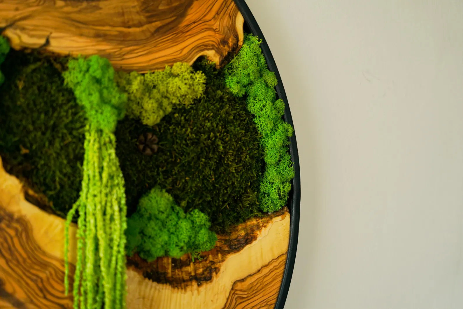 Metal Frame Moss Art with Olive Wood – Preserved Moss Wall Decor for Home or Office