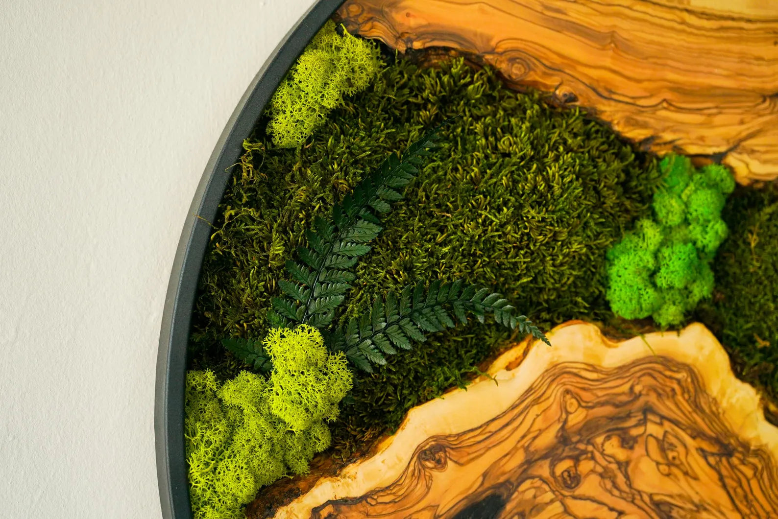 Metal Frame Moss Art with Olive Wood – Preserved Moss Wall Decor for Home or Office
