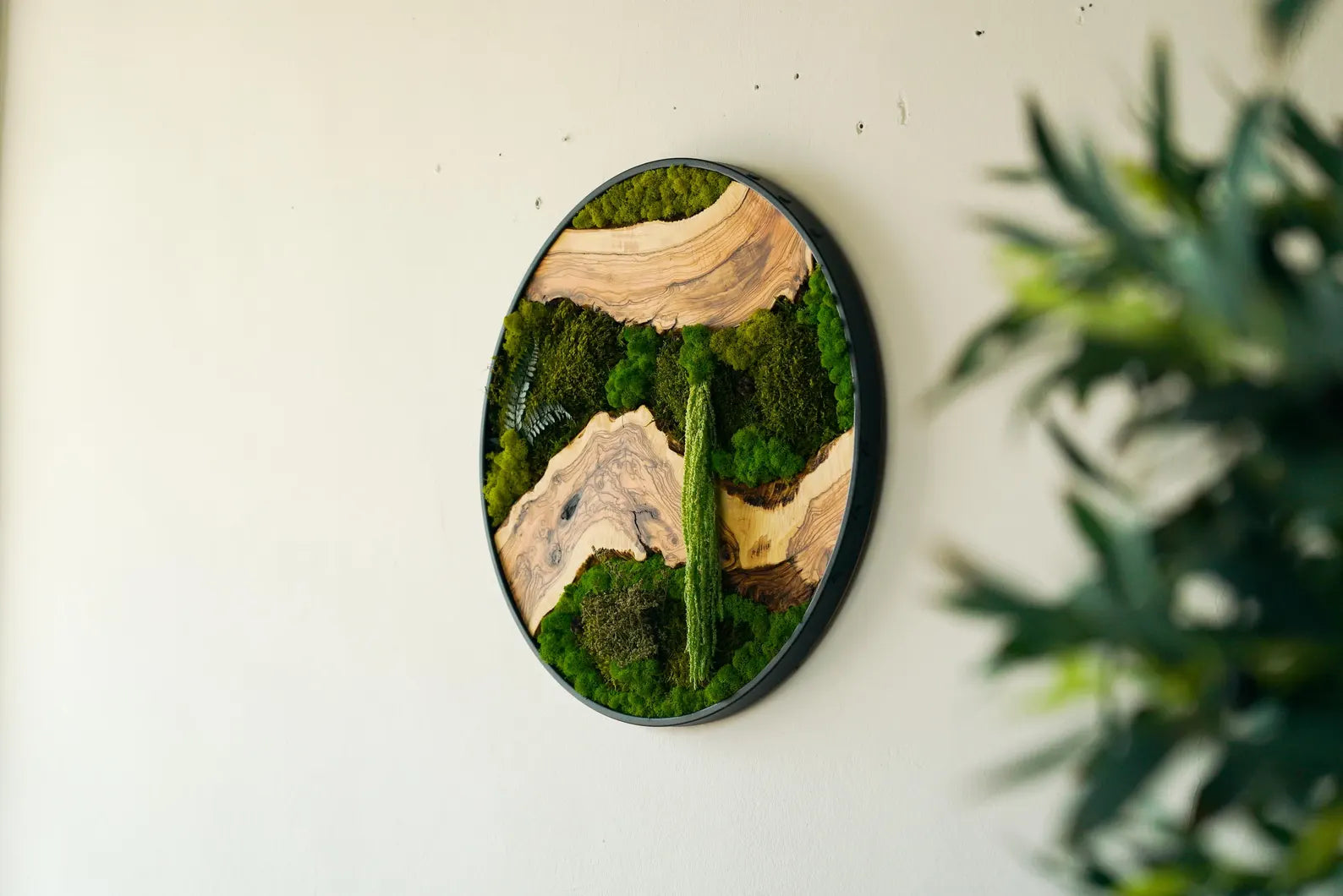 Metal Frame Moss Art with Olive Wood – Preserved Moss Wall Decor for Home or Office