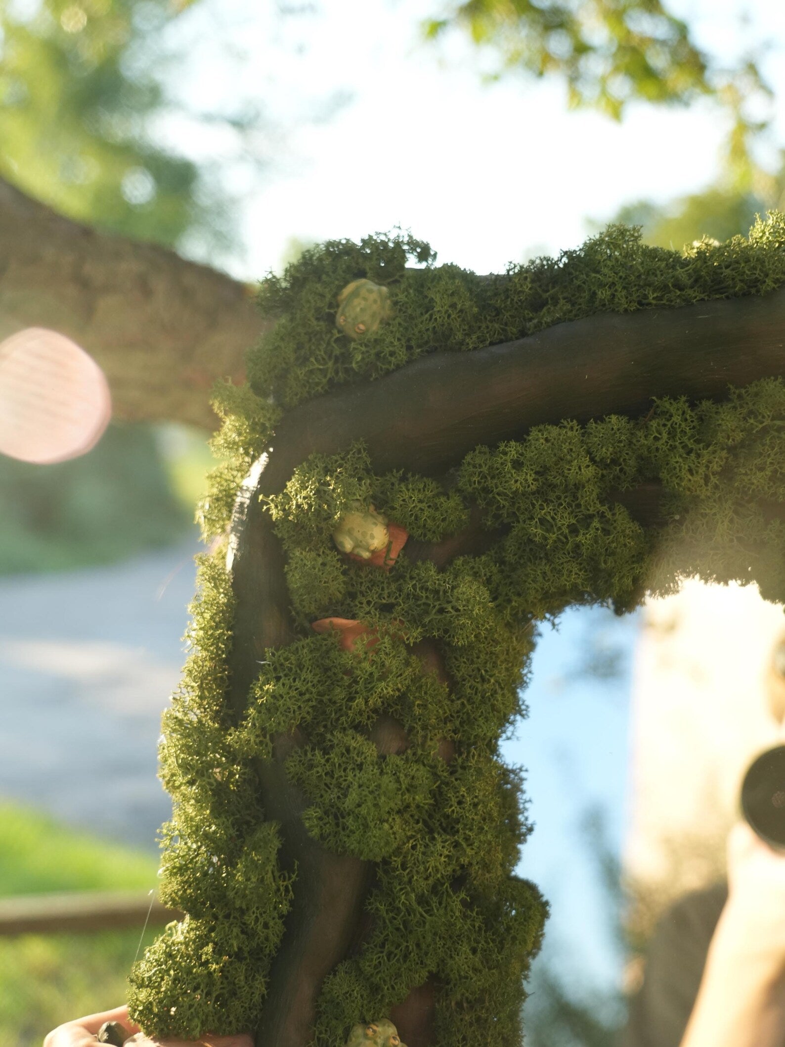 Moss Wall Mirror – Forest Decor with Ceramic Mushrooms – Nature-Inspired Wall Art