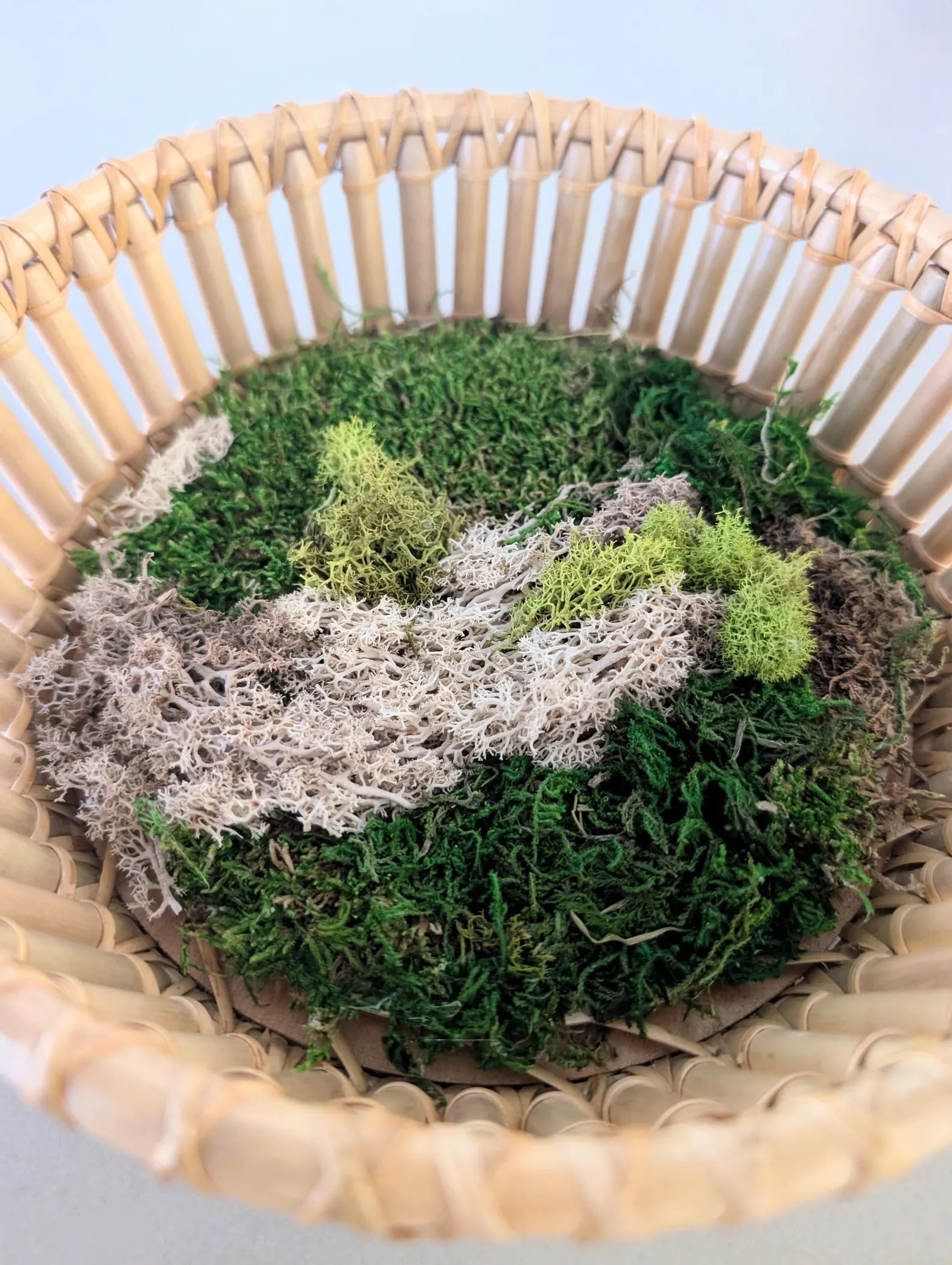 Bamboo Basket Moss Wall Art – Circular Preserved Moss Hanging Décor