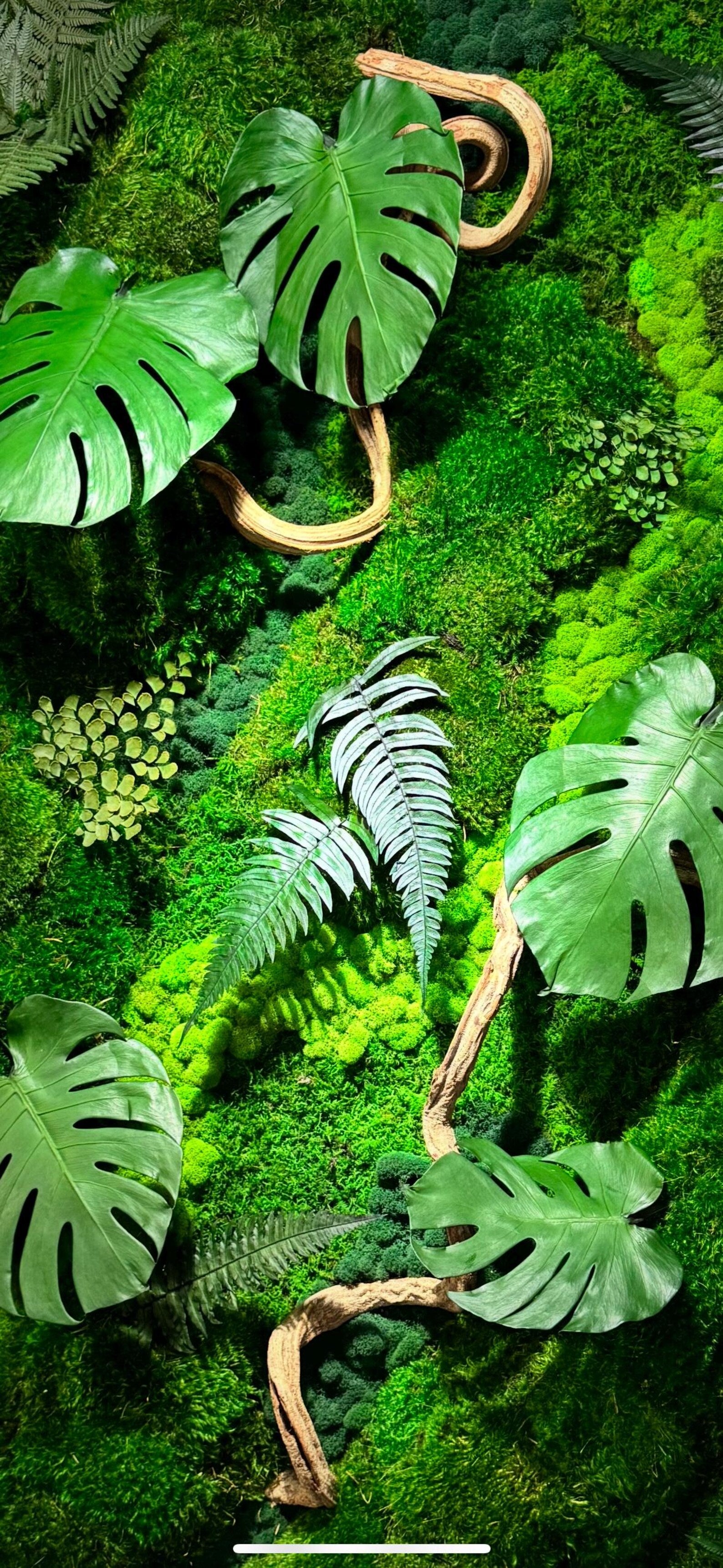 The Terrarium – Handmade Glass Terrarium with Preserved Moss & Natural Decor