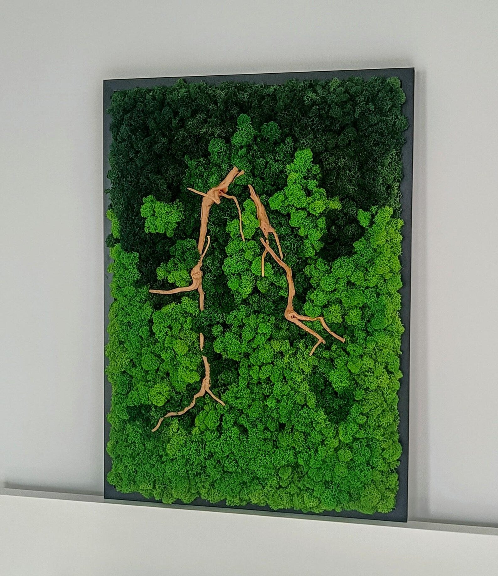 Moss and Root Wall Art – Natural Preserved Green Decor | Handmade Wall Hanging for Home & Office