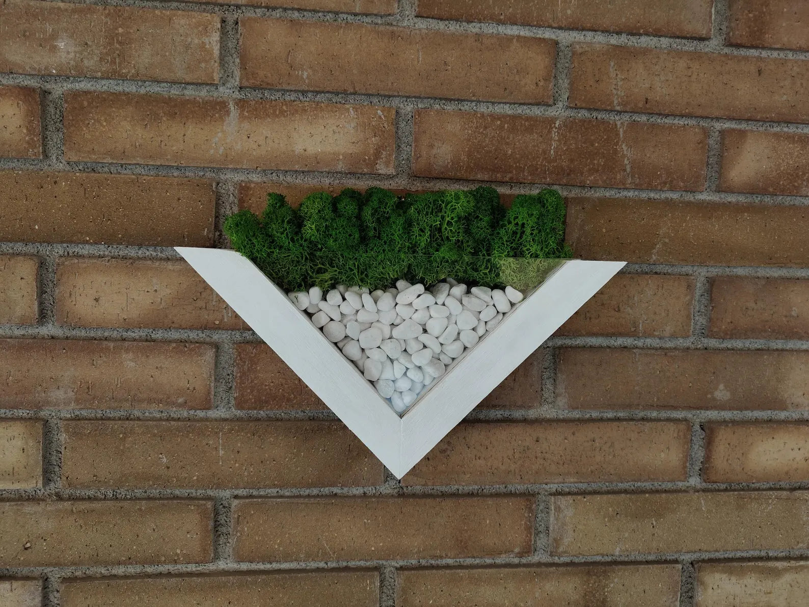 Moss Wall Planter – Green Wall Decor – Wood and Moss Indoor Wall Art