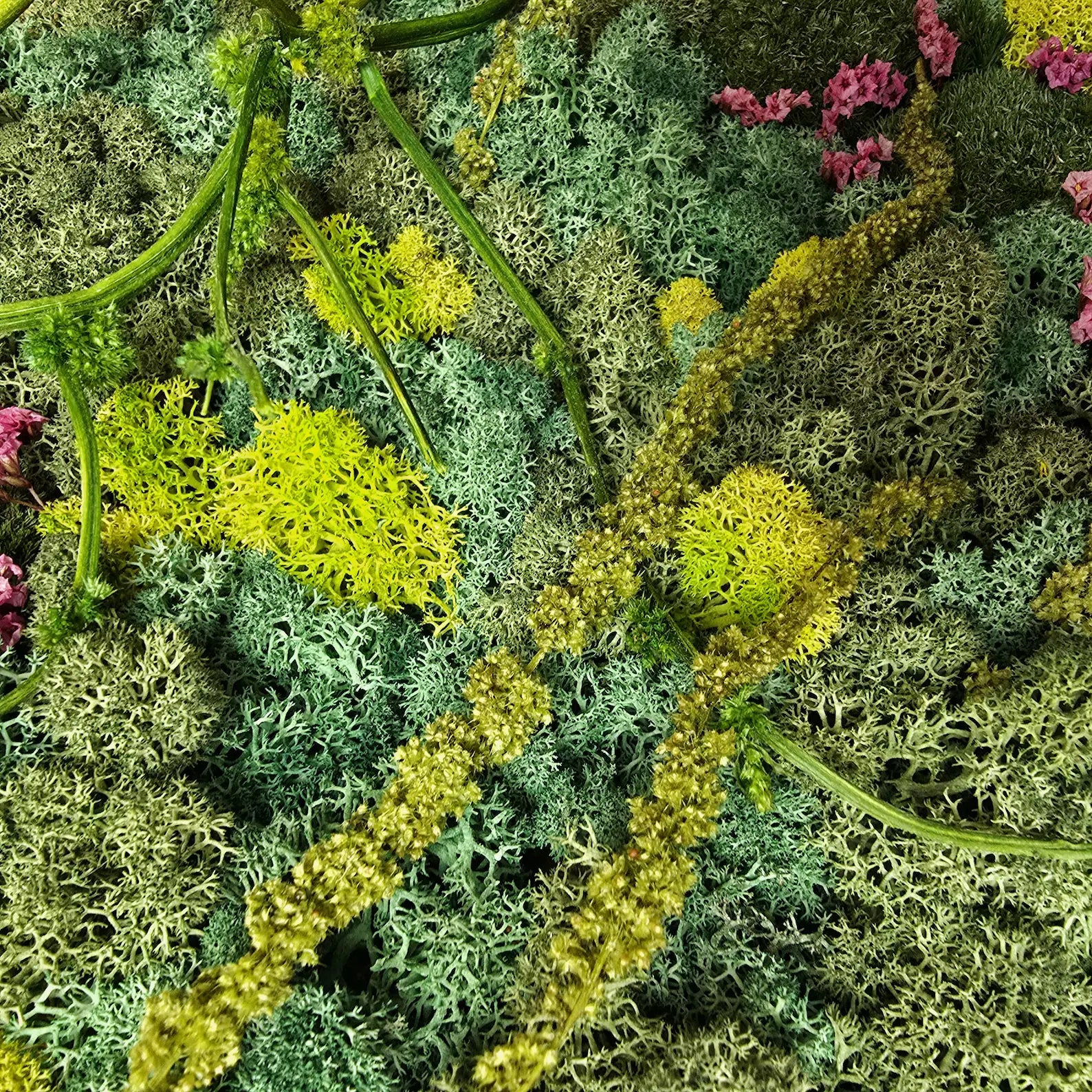 Preserved Scandinavian Moss Wall Art with Dried Flowers – Vertical Botanical Decor 30×40 cm