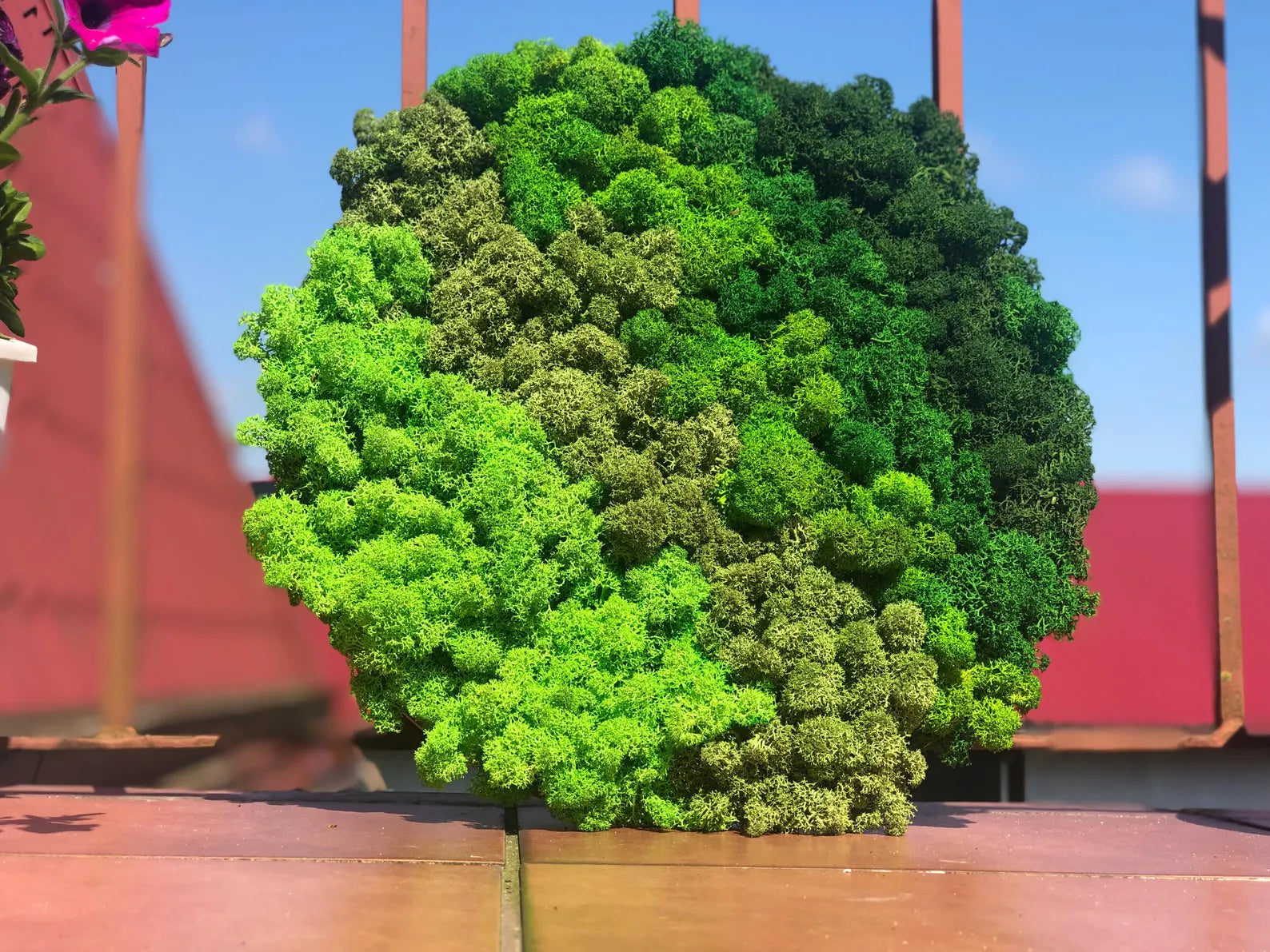 Reindeer Moss Wall Art – Green Symphony Handmade Frame | Nature Inspired Greenery Decor for Living Room