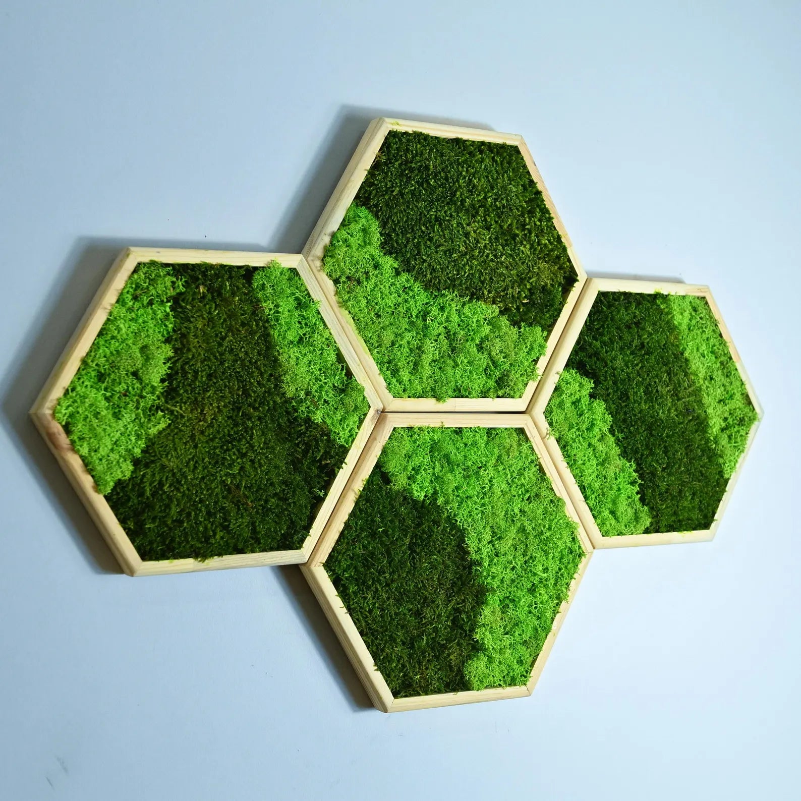 Hexagon Moss Wall Art – Honeycomb Wall Decor, Preserved Moss Panels, Modern Living Wall, Gift for Home or Office