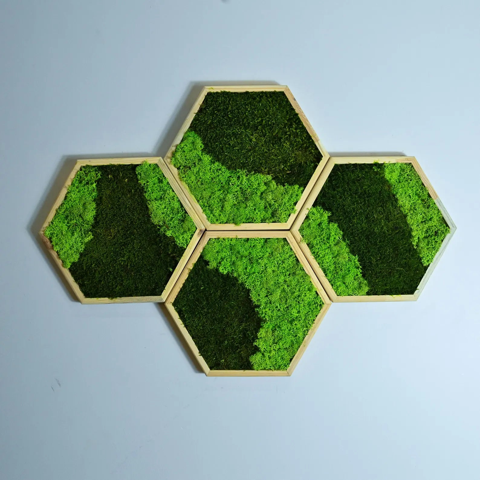 Hexagon Moss Wall Art – Honeycomb Wall Decor, Preserved Moss Panels, Modern Living Wall, Gift for Home or Office