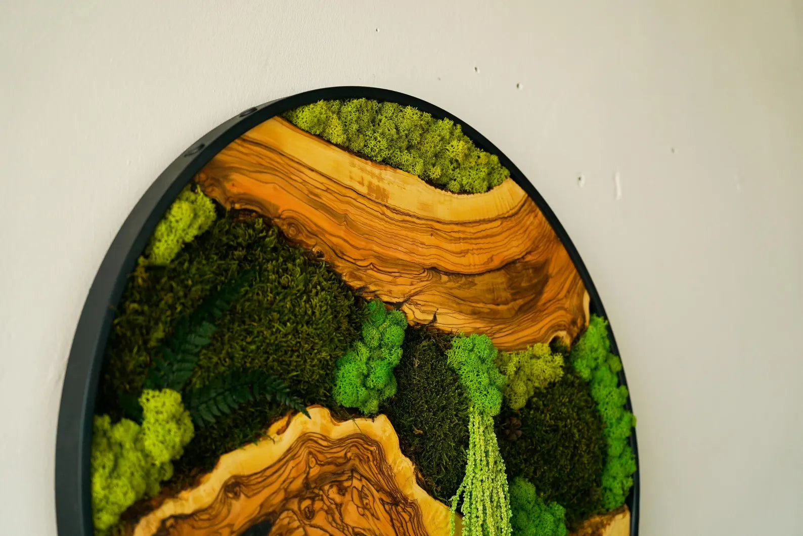 Metal Frame Moss Art with Olive Wood – Preserved Moss Wall Decor for Home or Office