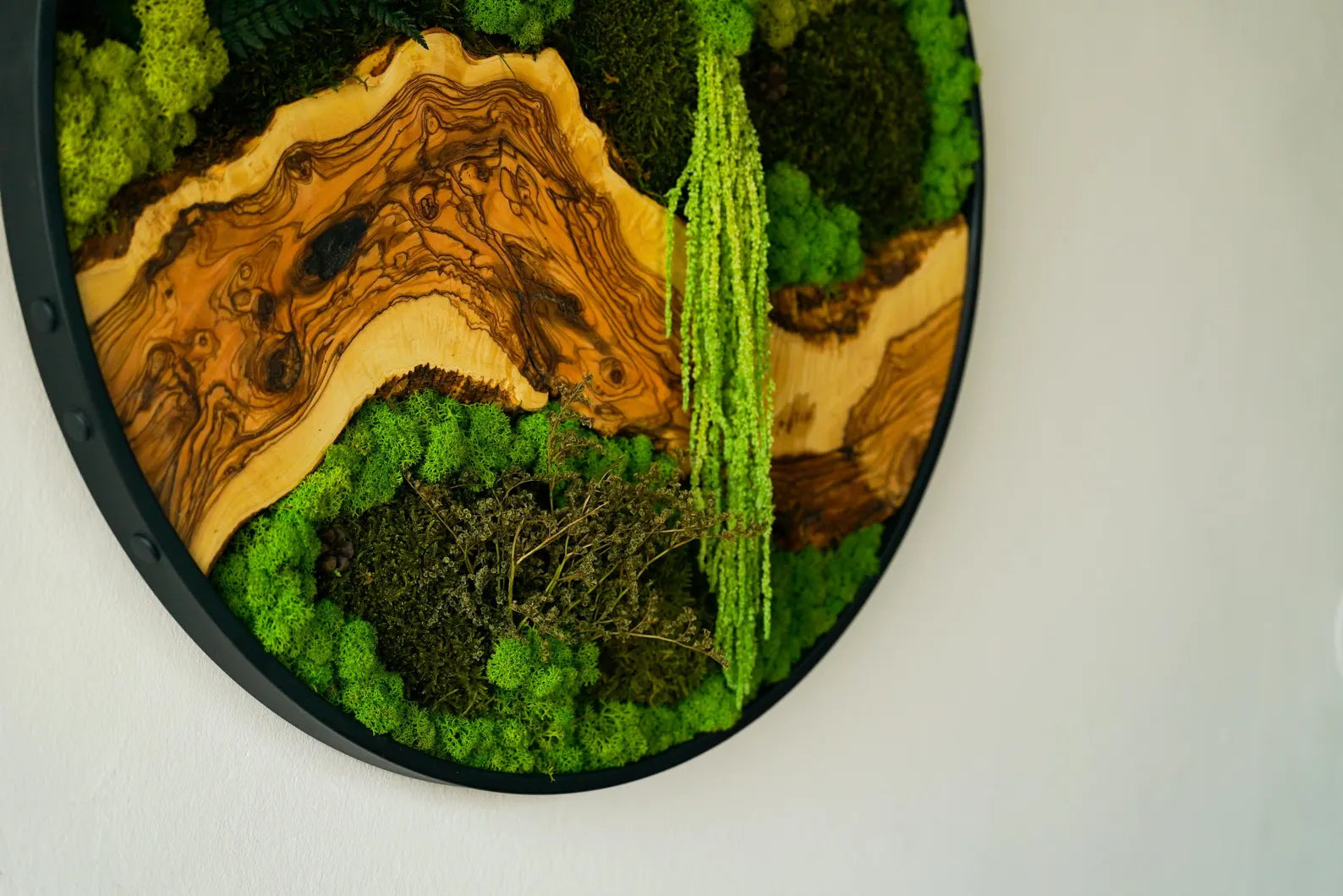 Metal Frame Moss Art with Olive Wood – Preserved Moss Wall Decor for Home or Office