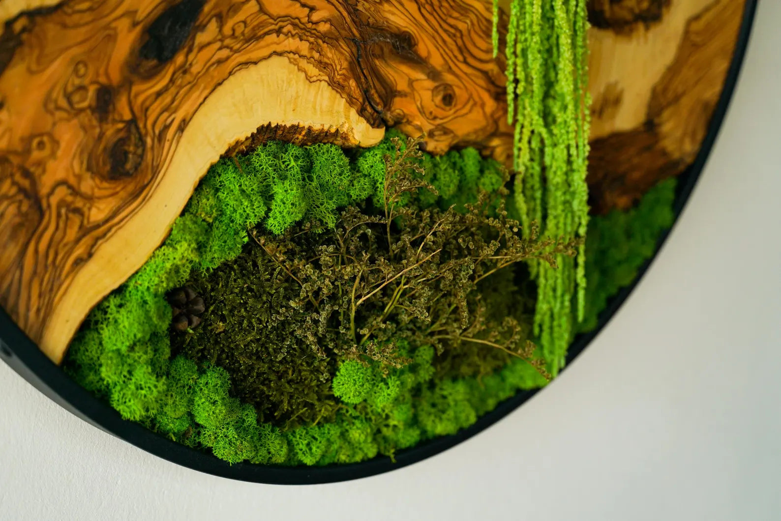 Metal Frame Moss Art with Olive Wood – Preserved Moss Wall Decor for Home or Office