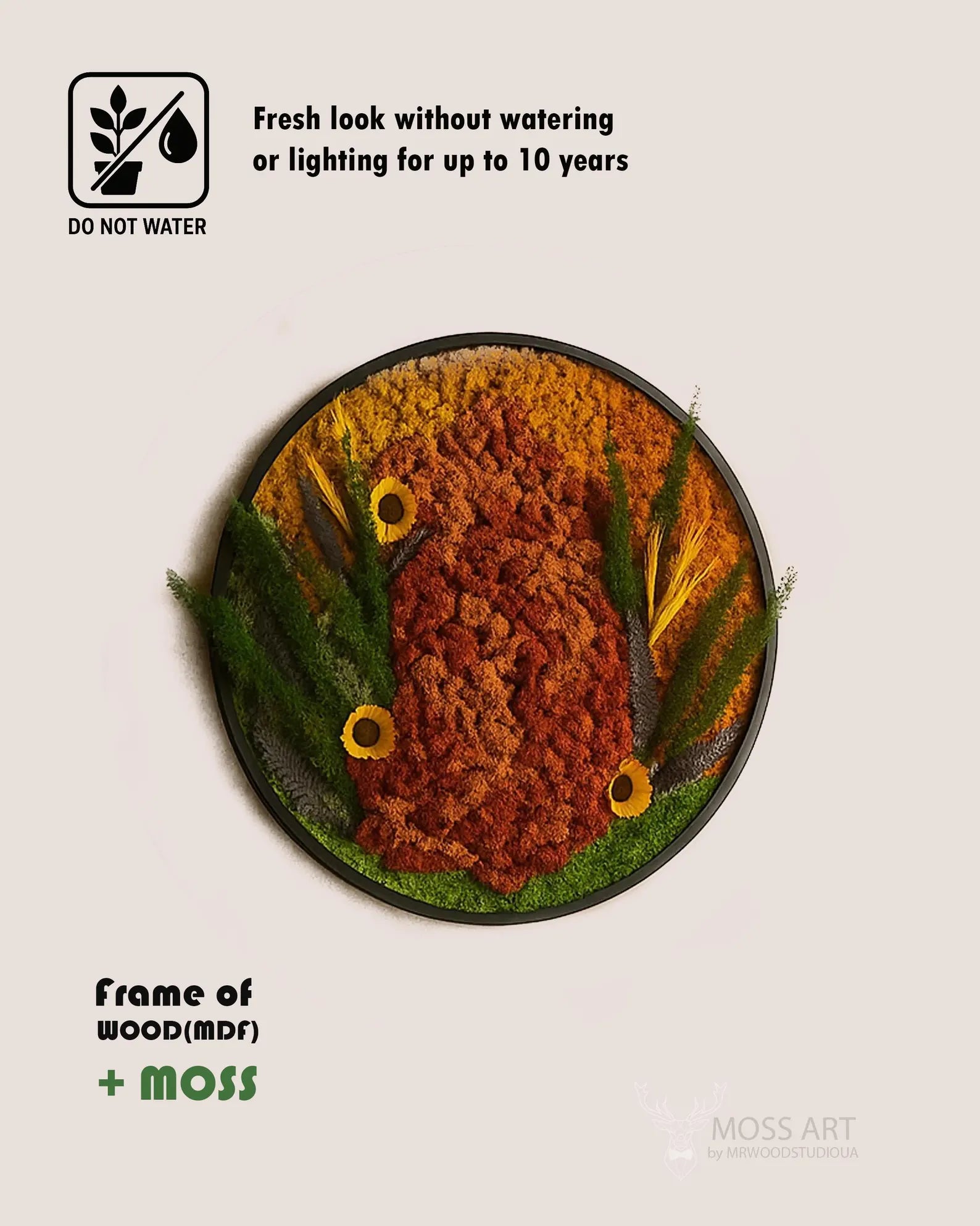 Illuminated Autumn Moss Wall Art – Handmade Round Preserved Moss Panel with LED Lighting for Home & Office Décor