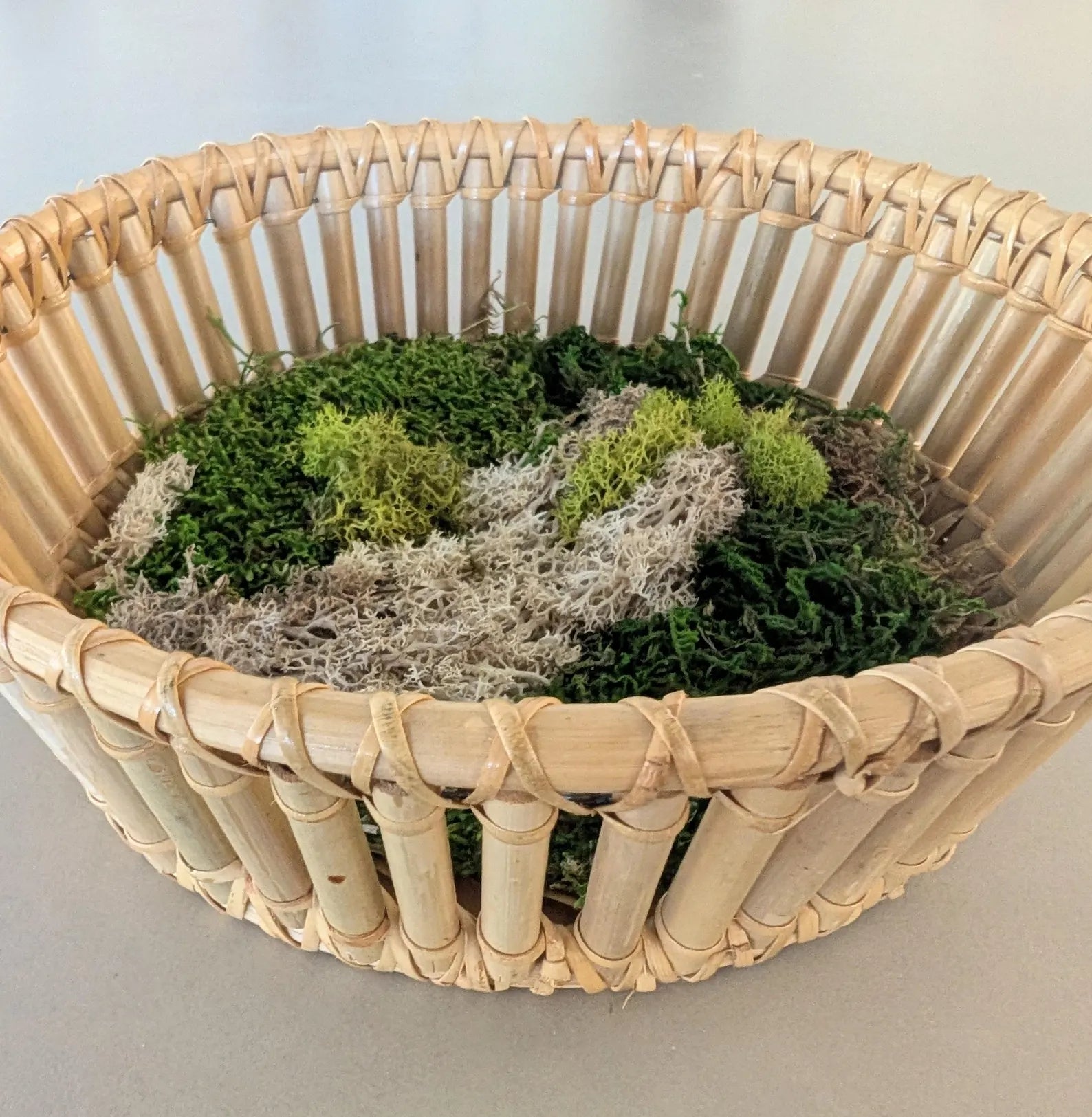 Bamboo Basket Moss Wall Art – Circular Preserved Moss Hanging Décor