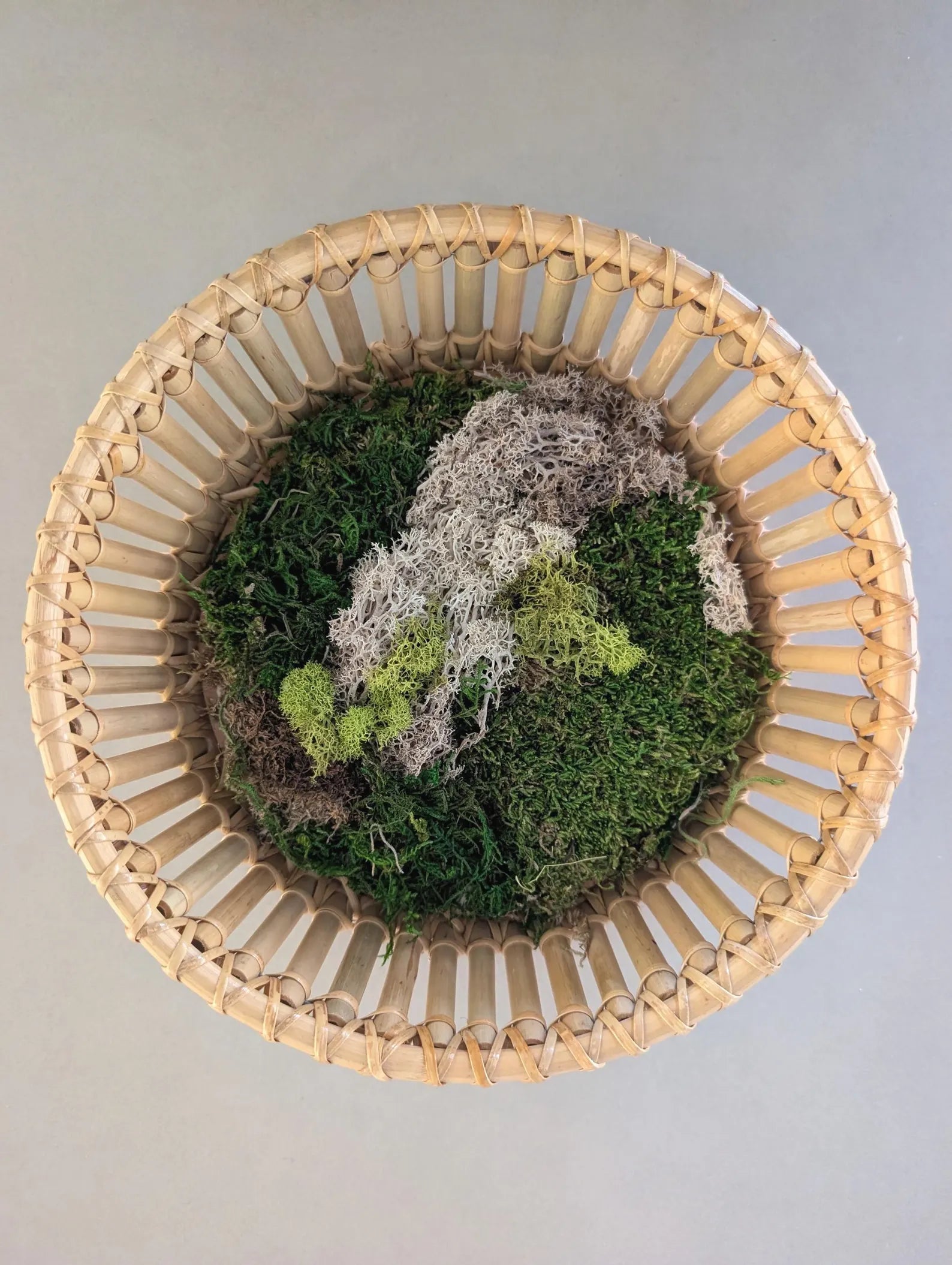 Bamboo Basket Moss Wall Art – Circular Preserved Moss Hanging Décor