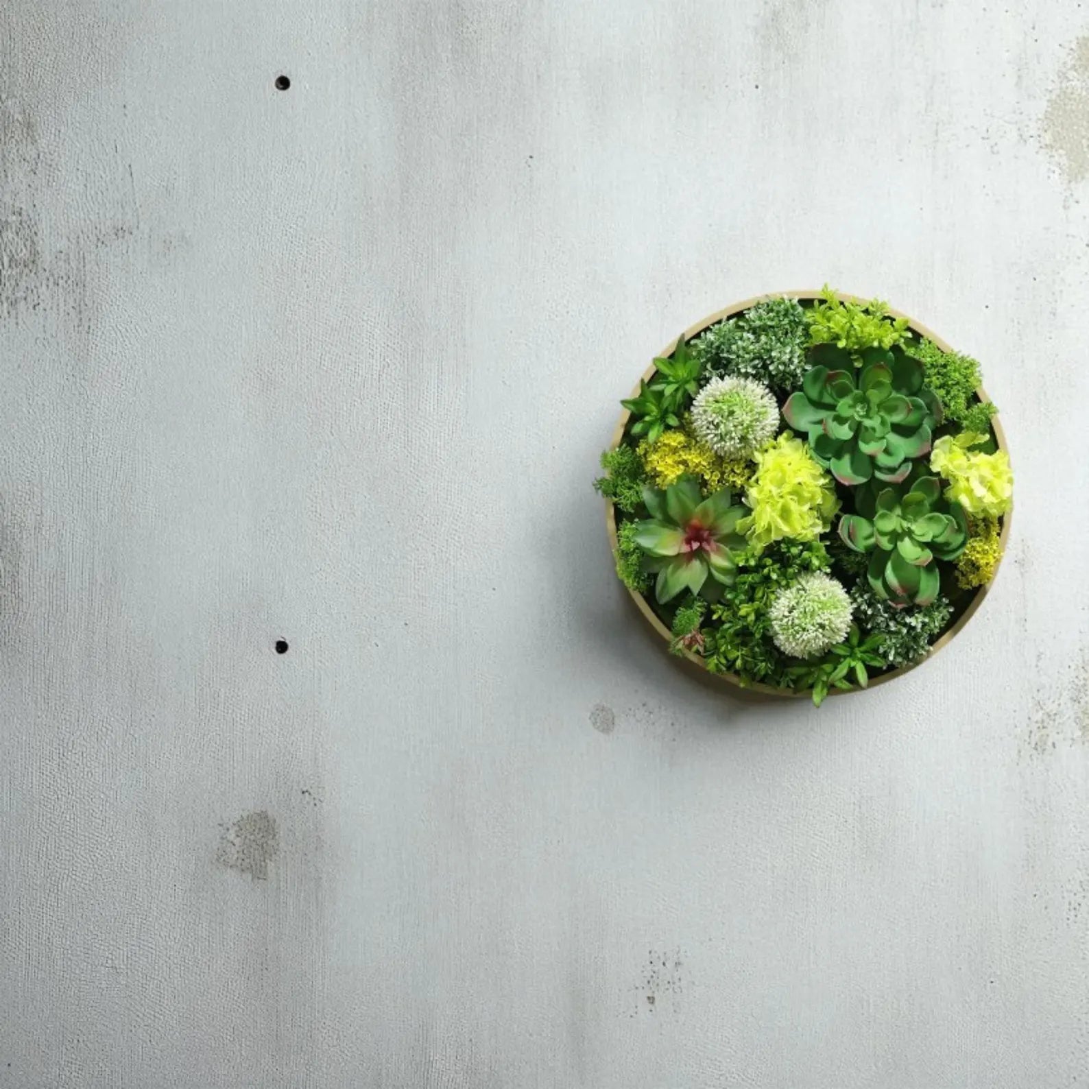 Preserved Moss & Fern Wall Art – Round Hanging Greenery Frame, Circle Plant Wall Decor, Nature-Inspired Living Accent